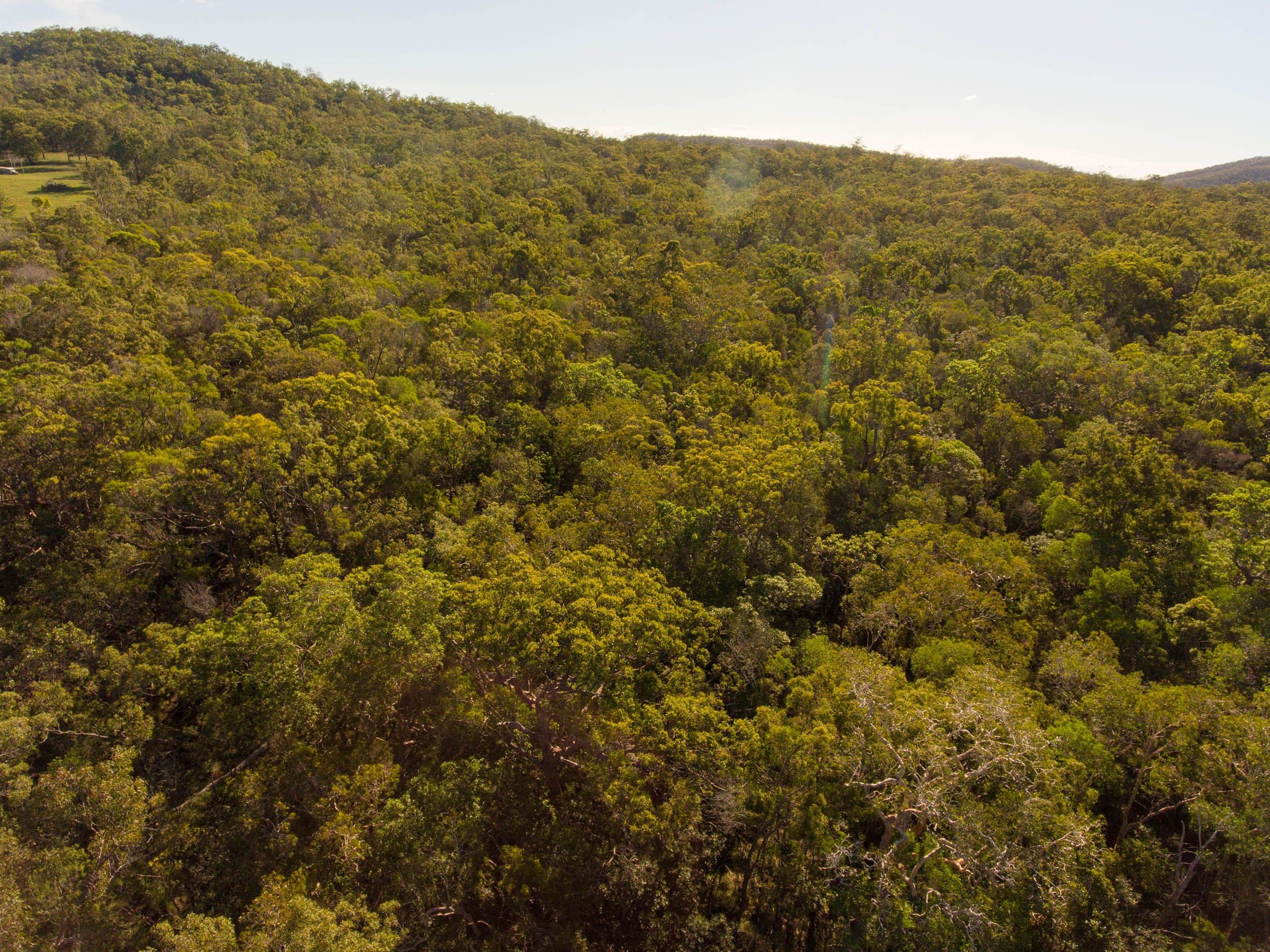 Lot 94 Pacific Drive, Deepwater QLD 4674, Deepwater - Thumbnail 7