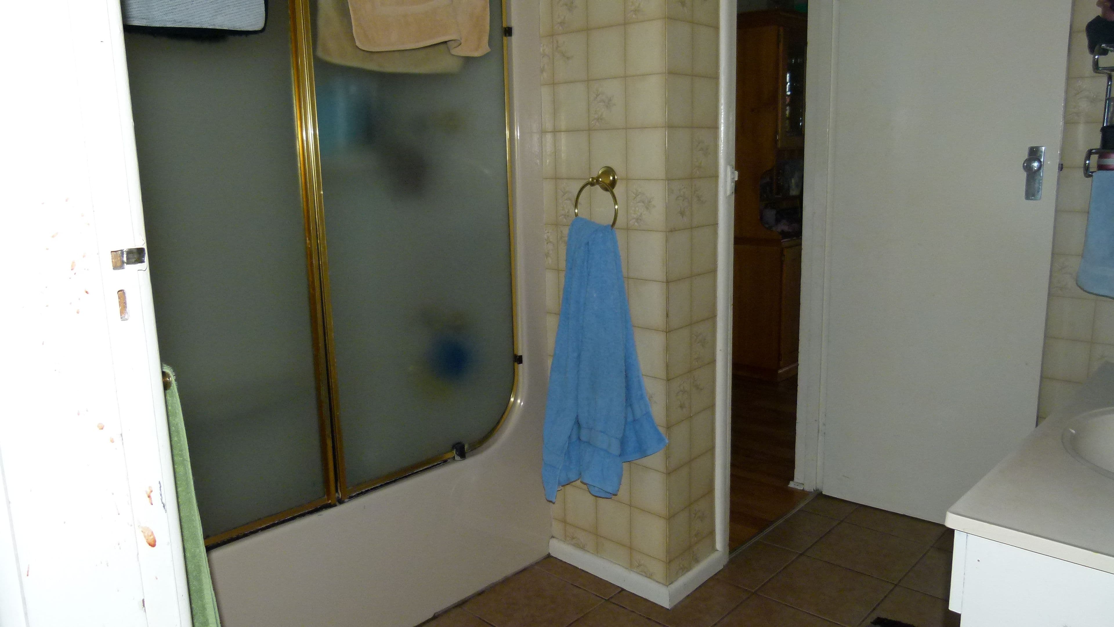 16 Patterson Street, Forbes - Thumbnail 7