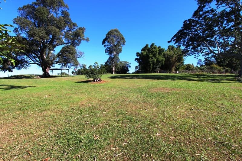 31 May Street, Dunoon NSW 2480, Dunoon - Thumbnail 3