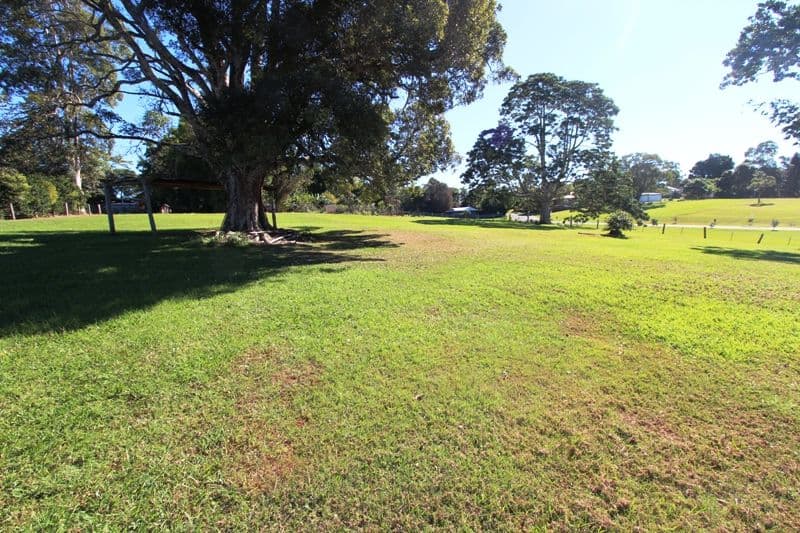31 May Street, Dunoon NSW 2480, Dunoon - Thumbnail 4