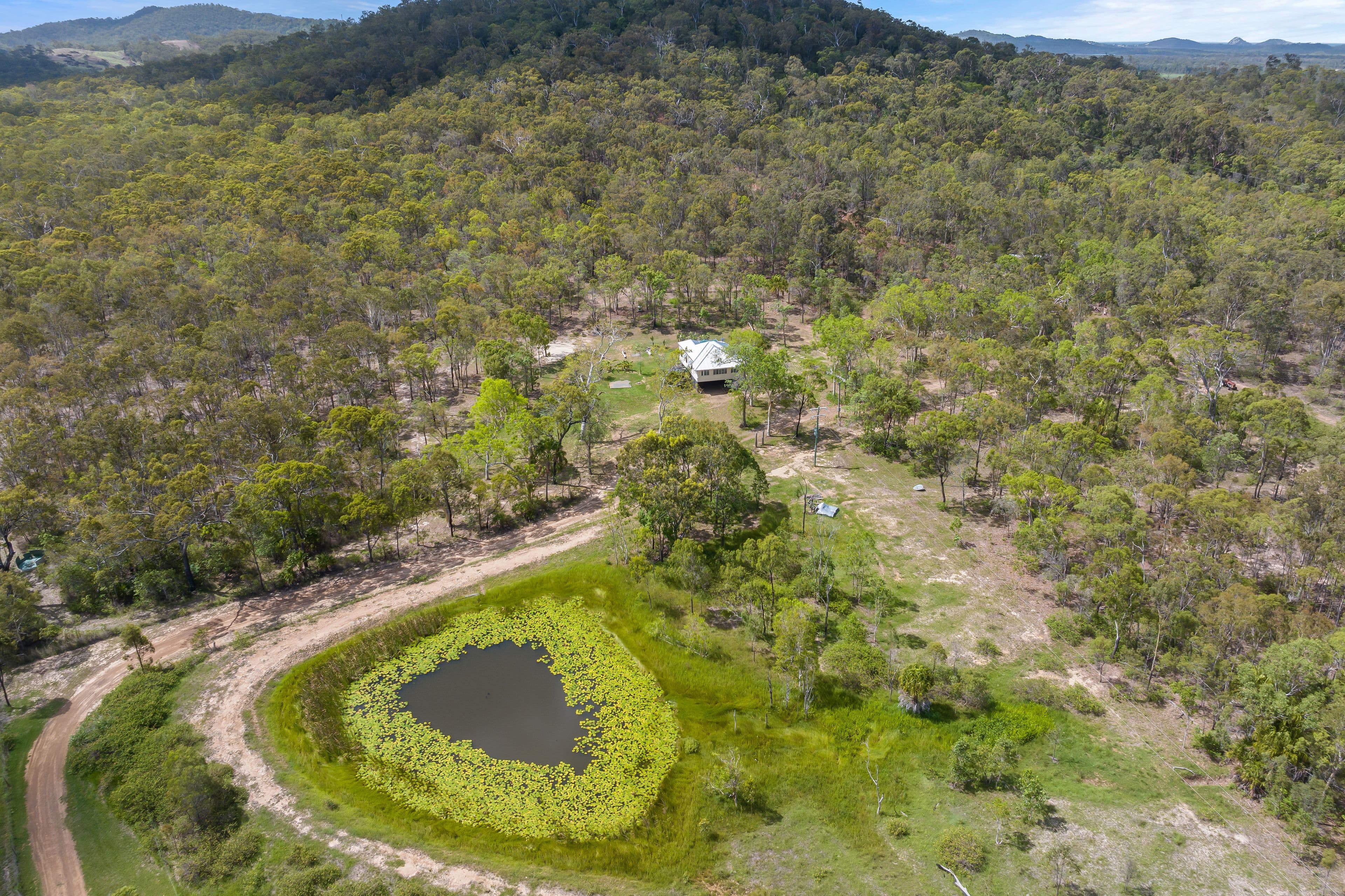 103 Delandelles Road, Tanby QLD 4703, Tanby - Thumbnail 2