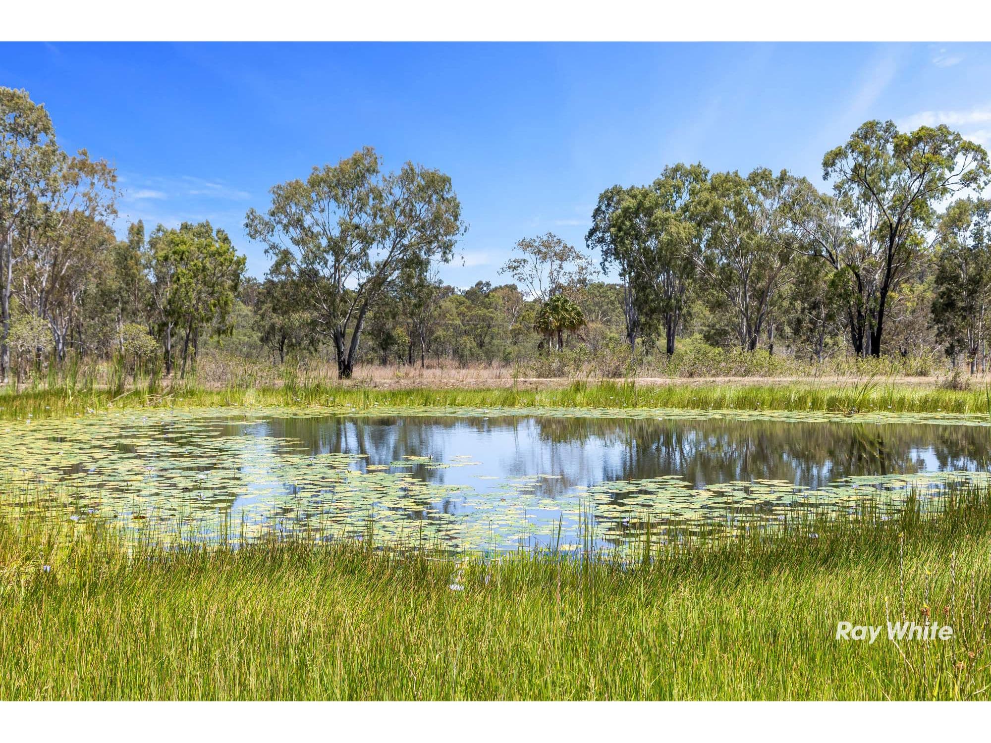103 Delandelles Road, Tanby QLD 4703, Tanby - Thumbnail 4