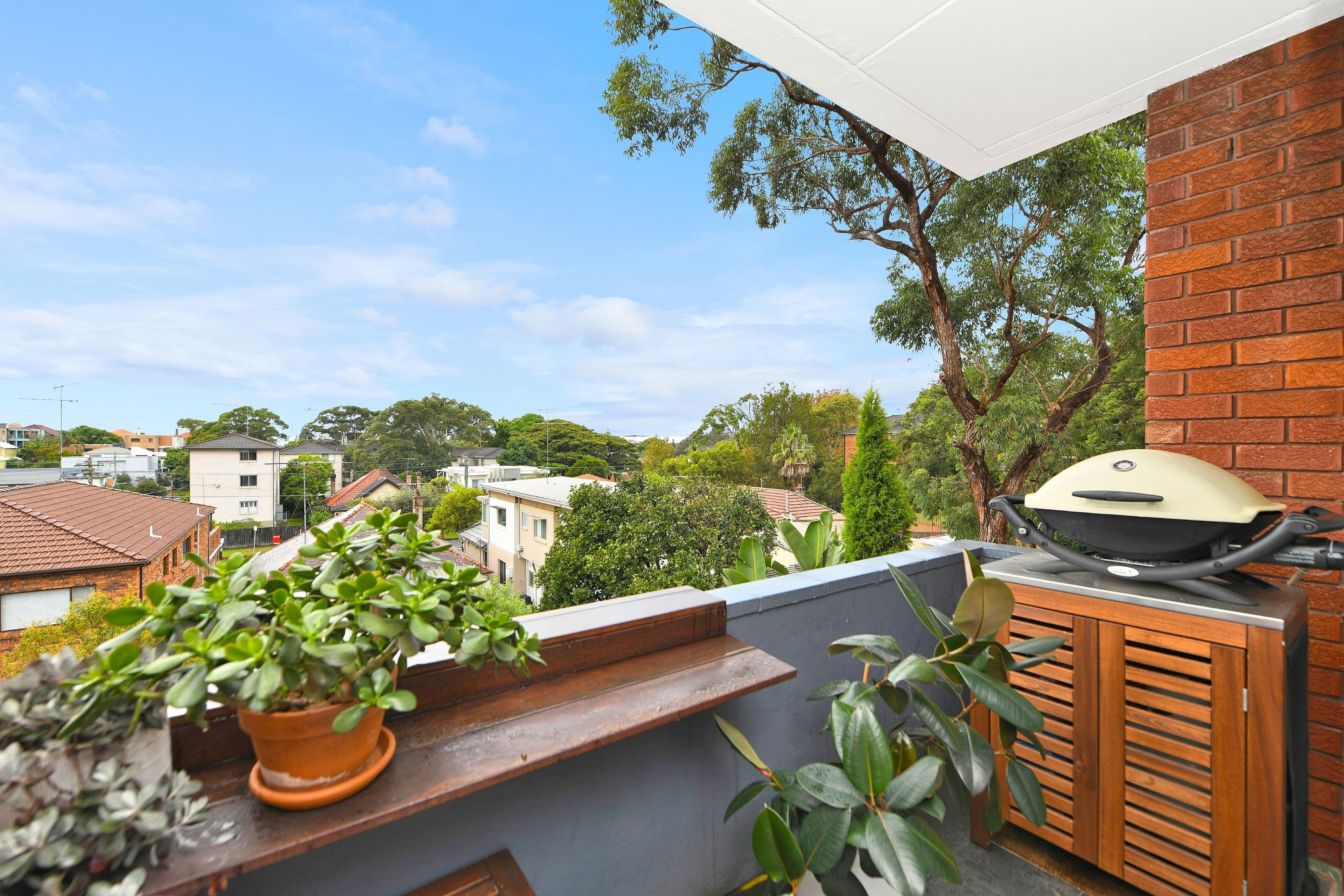 162 Oberon Street, Coogee NSW 2034, Coogee - Thumbnail 5