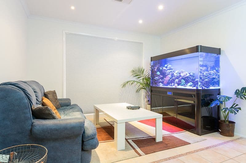 19 Baronda Close, Flinders NSW 2529, Flinders - Thumbnail 8