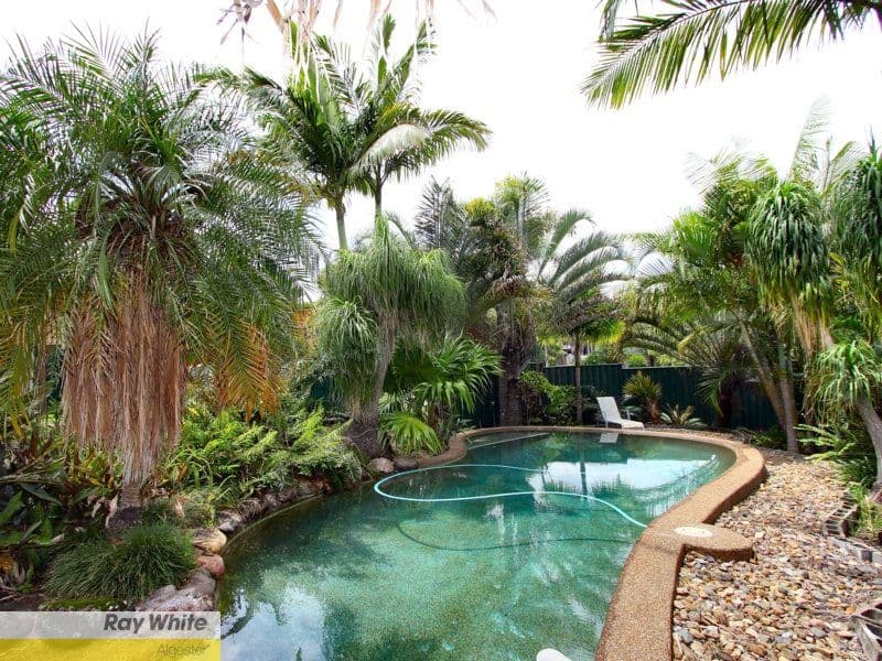 28 Satinwood Street, ALGESTER QLD 4115, Algester - Thumbnail 7