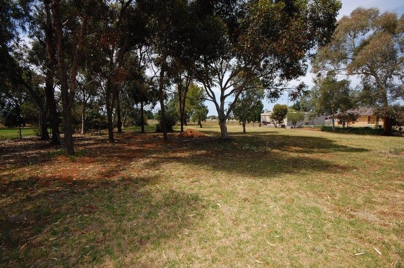 273 Gardiner Road, Griffith NSW 2680, Griffith - Thumbnail 6