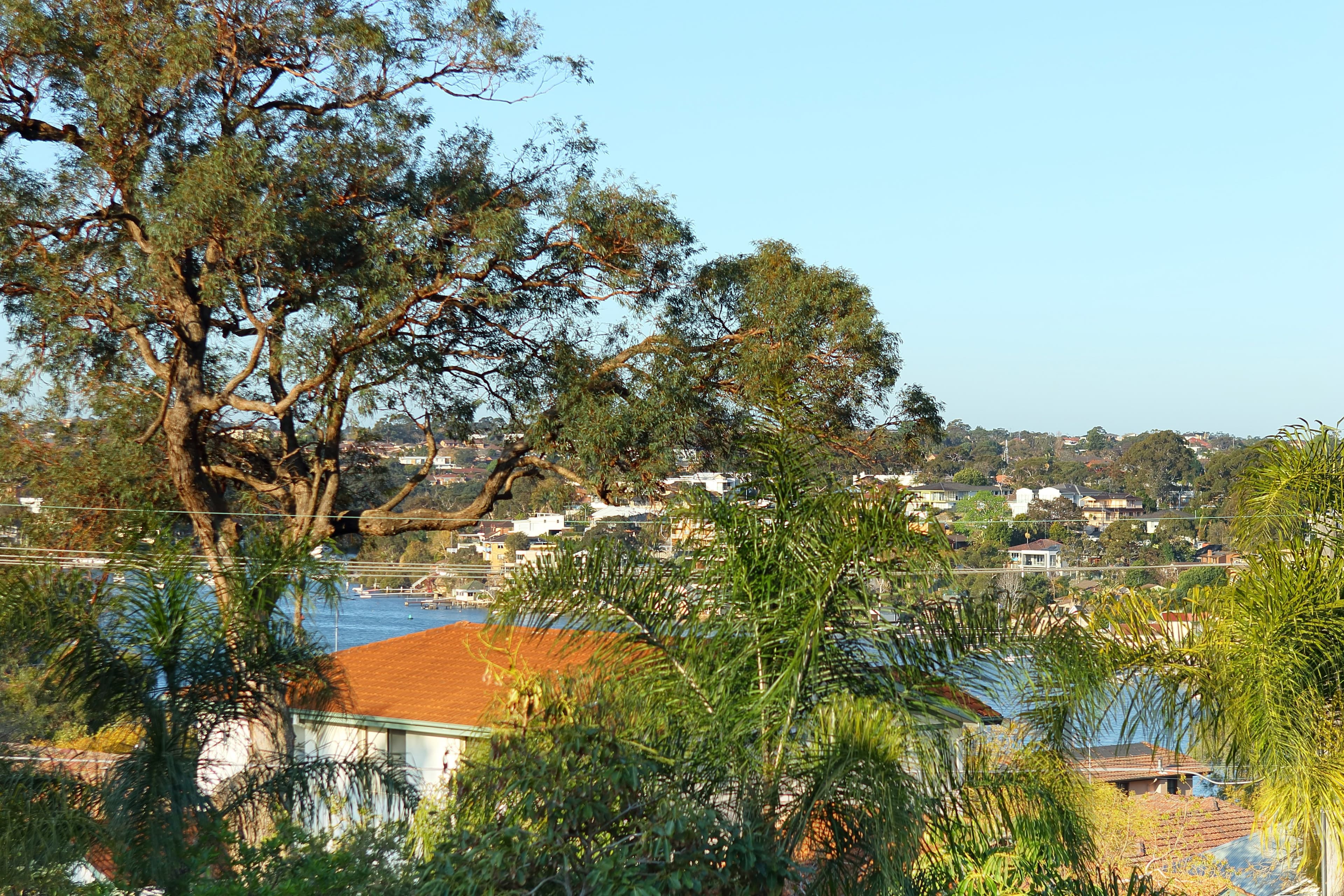 128 Rosa Street, Oatley - Thumbnail 6