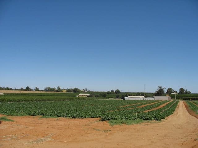 Sec 1380 Hardwick Road, BERRI SA 5343, Berri - Thumbnail 4