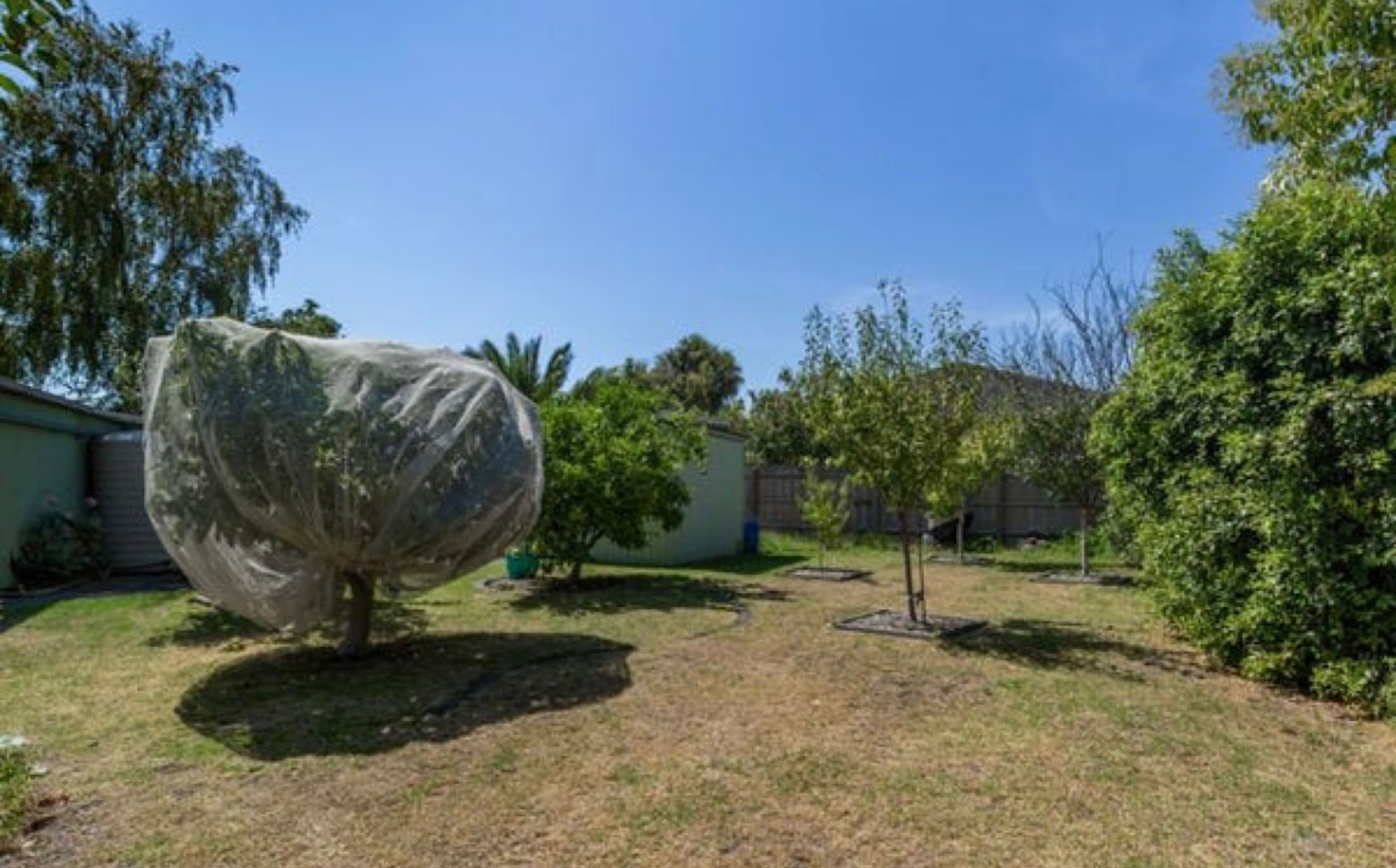 51 Stuart Street, Noble Park VIC 3174, Noble Park - Thumbnail 8
