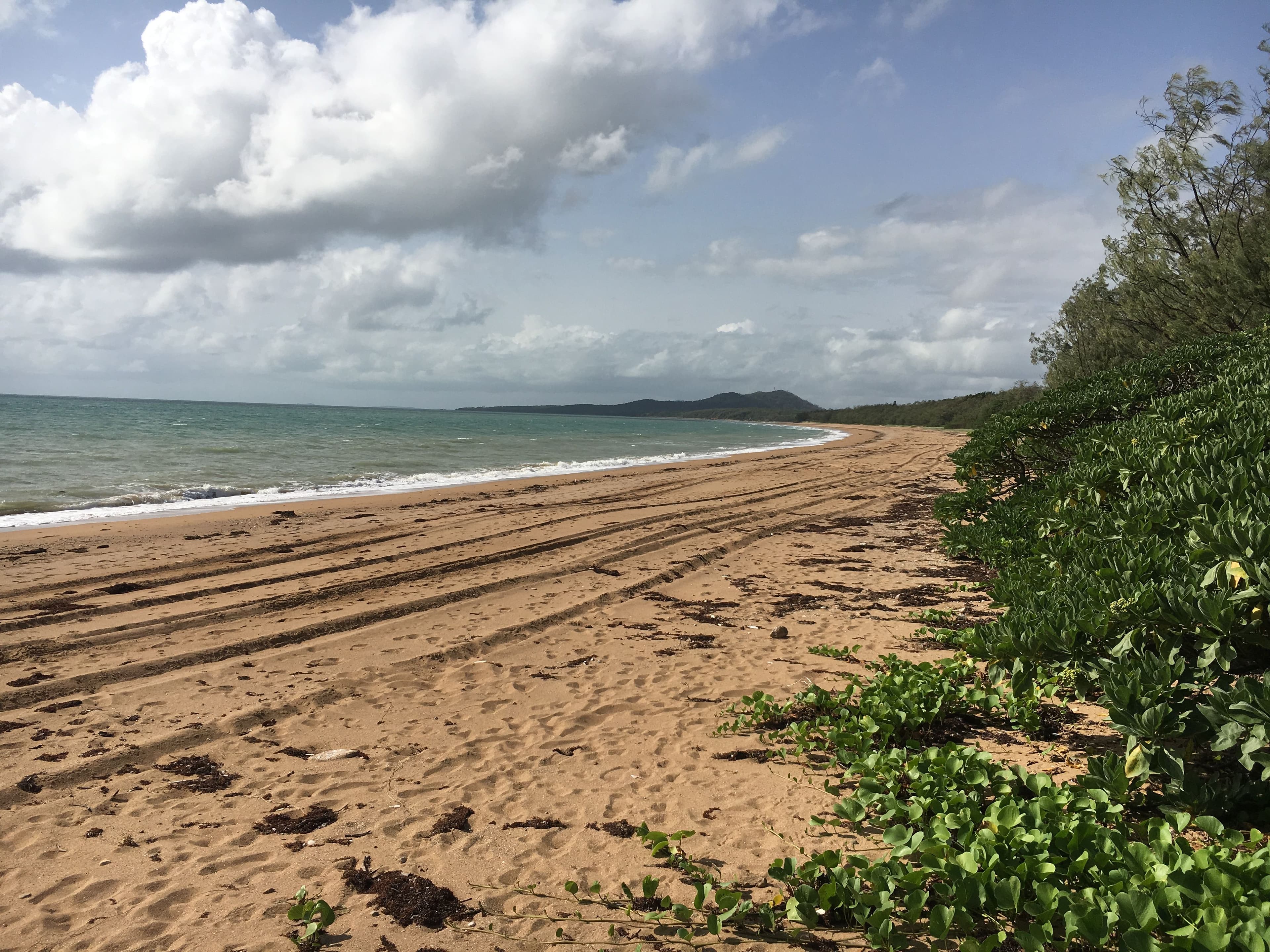 23 Rasmussen Avne, Hay Point QLD 4740, Hay Point - Thumbnail 3