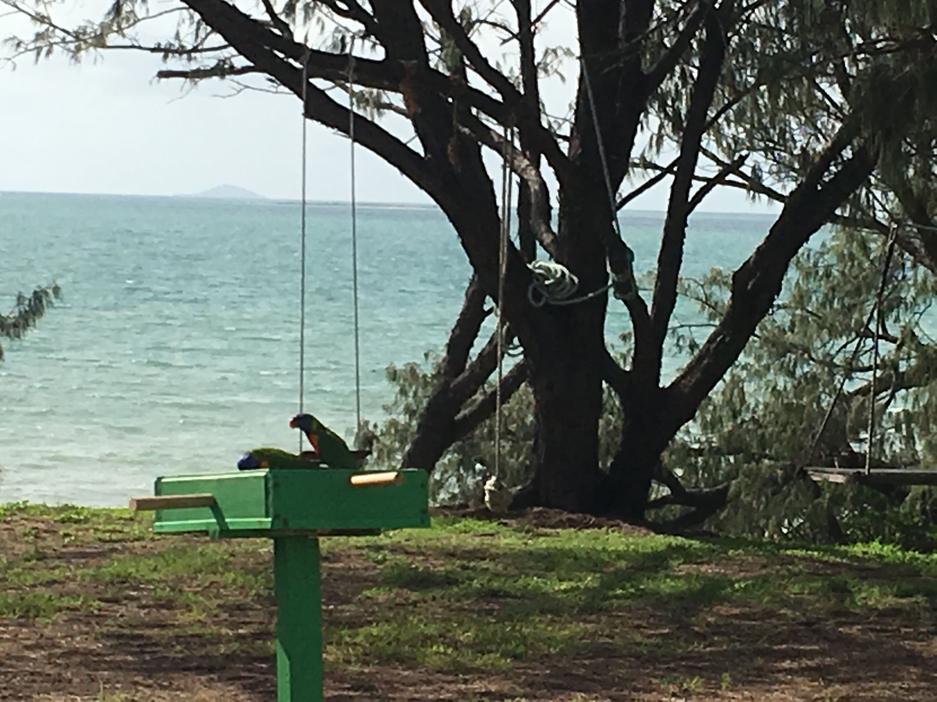 23 Rasmussen Avne, Hay Point QLD 4740, Hay Point - Thumbnail 5