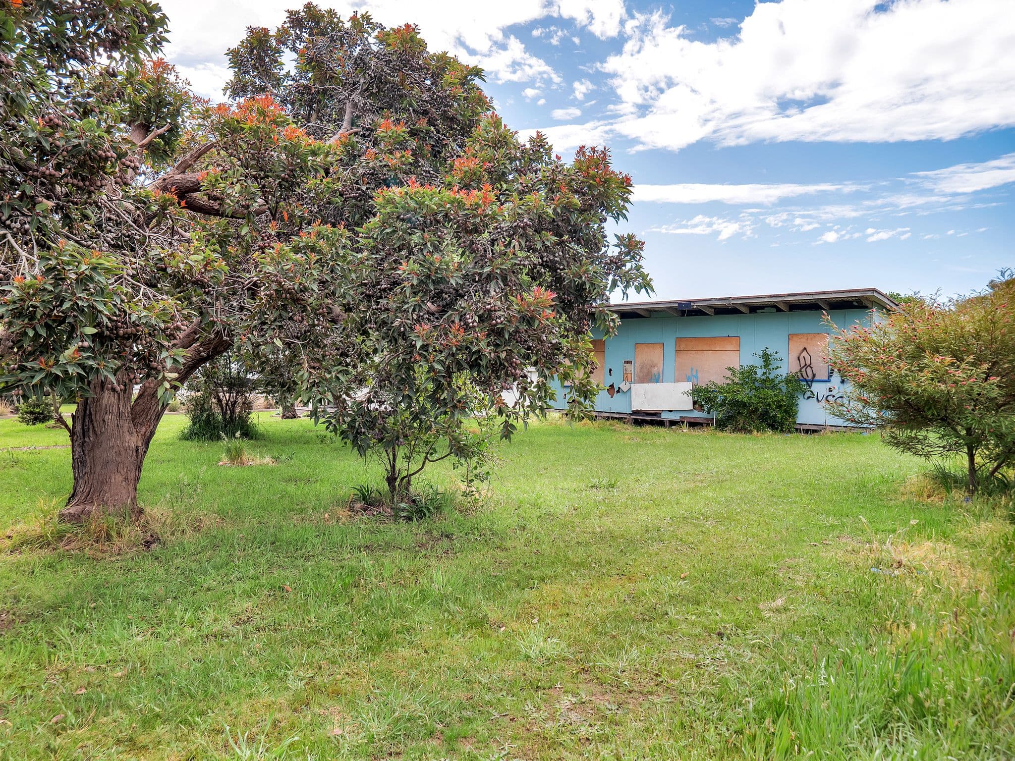 11 Lyall Street, Ventnor VIC 3922, Ventnor - Thumbnail 5