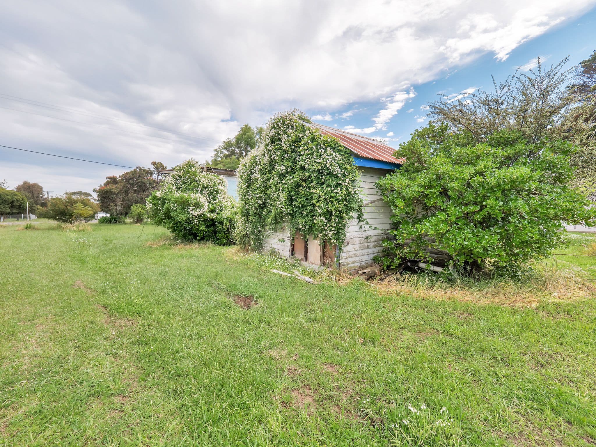 11 Lyall Street, Ventnor VIC 3922, Ventnor - Thumbnail 7