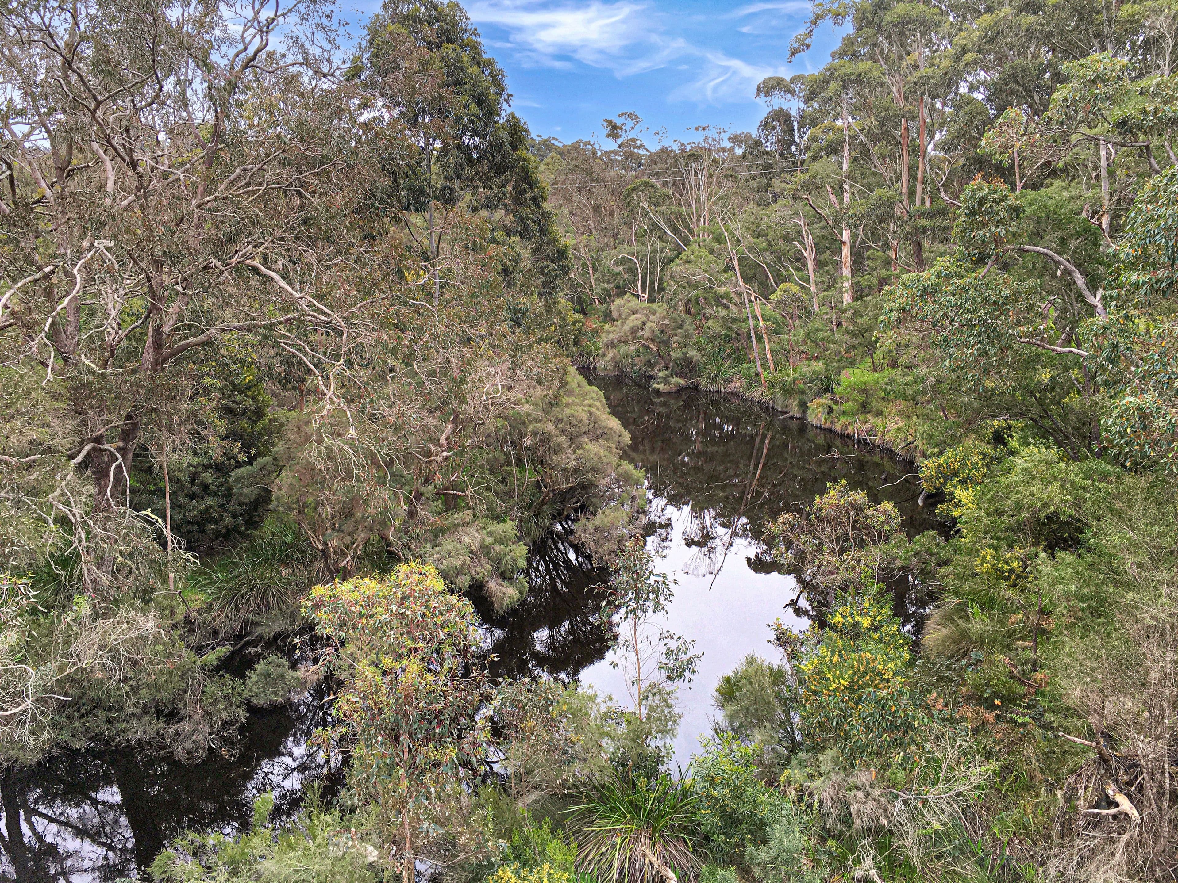 45556 South Coast Highway, Kalgan WA 6330, Kalgan - Thumbnail 5