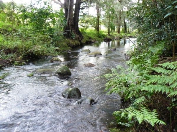30 Nugents Creek Road, KANGAROO VALLEY NSW 2577, Kangaroo Valley - Image 1