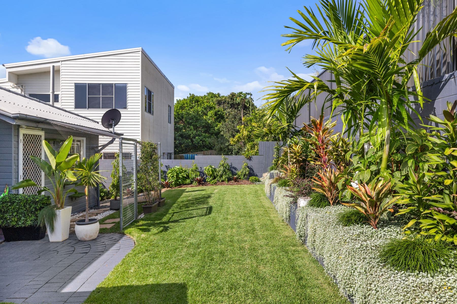 33 Olive Grove, Balmoral QLD 4171, Balmoral - Thumbnail 8