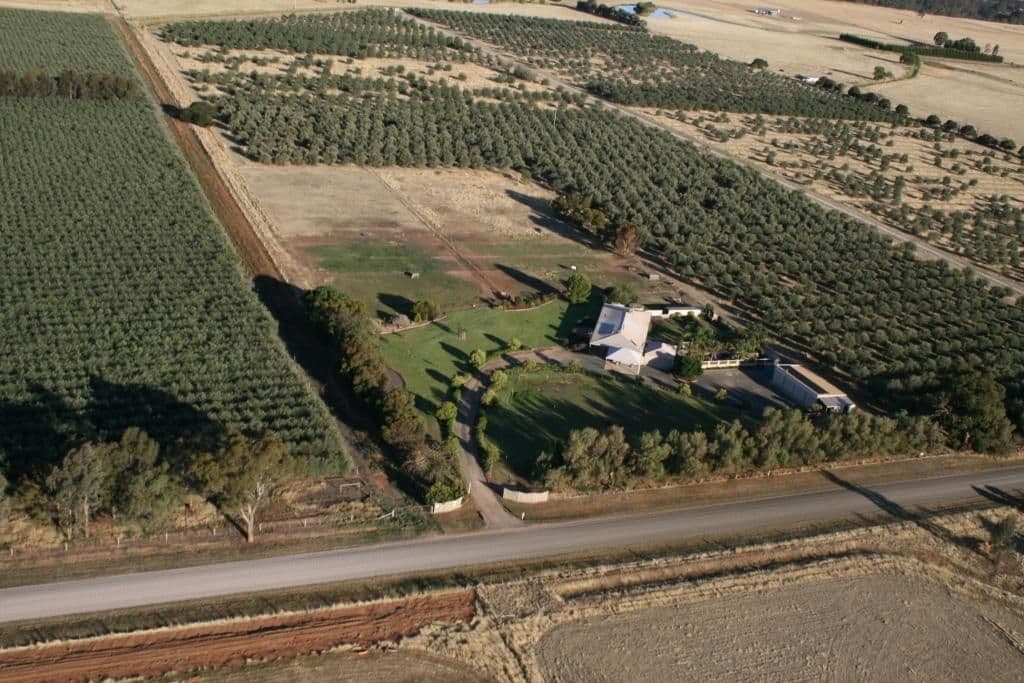 298 O'Dwyer Road, Wharparilla, ECHUCA VIC 3564, Echuca - Thumbnail 6