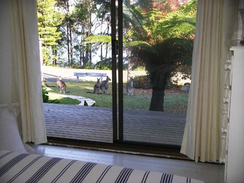 161 Basin View Parade, BASIN VIEW NSW 2540, Basin View - Thumbnail 6