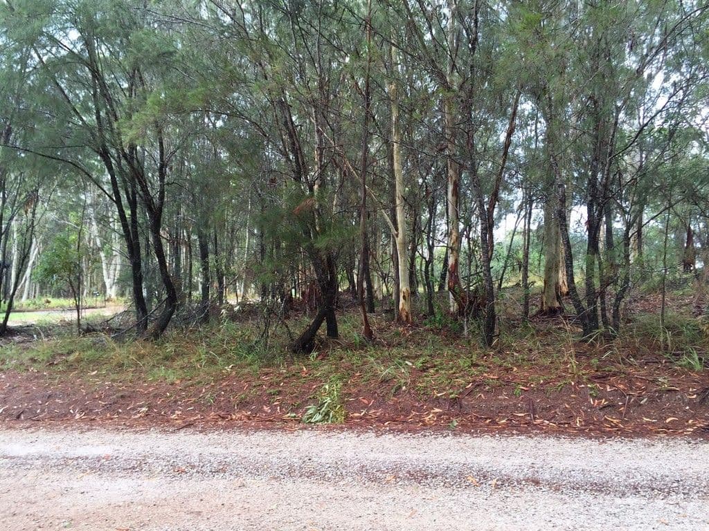26 Amber Avenue, Russell Island QLD 4184, Russell Island - Thumbnail 3