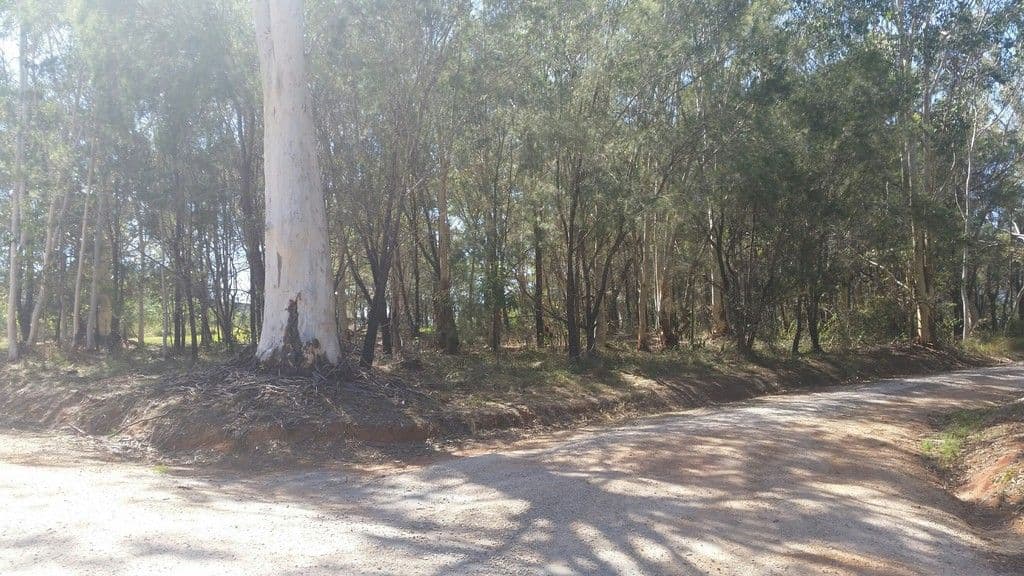 26 Amber Avenue, Russell Island QLD 4184, Russell Island - Thumbnail 5