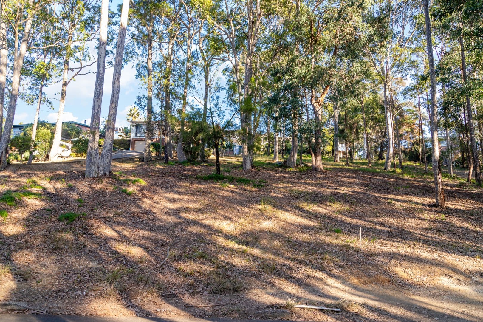 72 Catalina Drive, Catalina NSW 2536, Catalina - Thumbnail 2