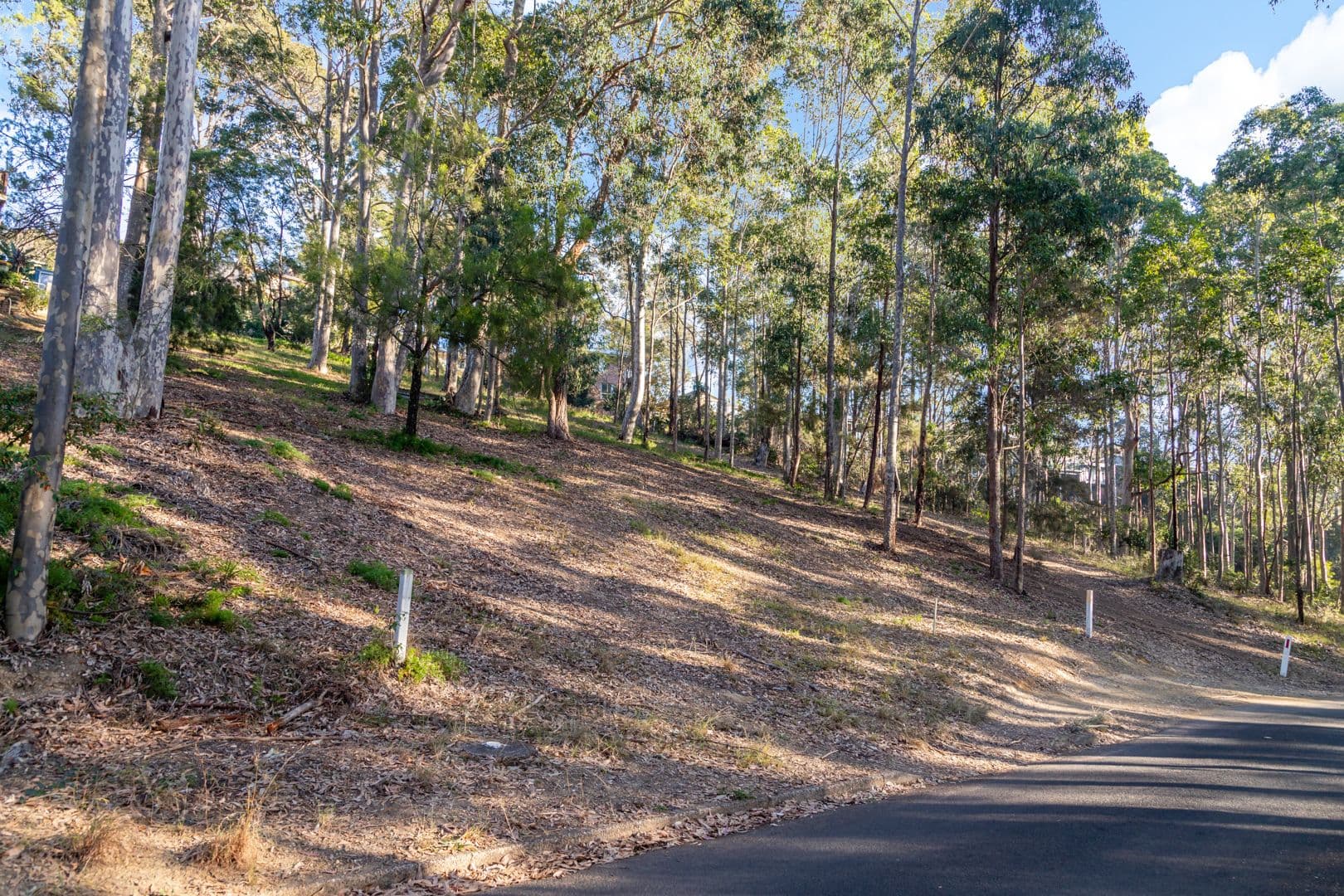 72 Catalina Drive, Catalina NSW 2536, Catalina - Thumbnail 3
