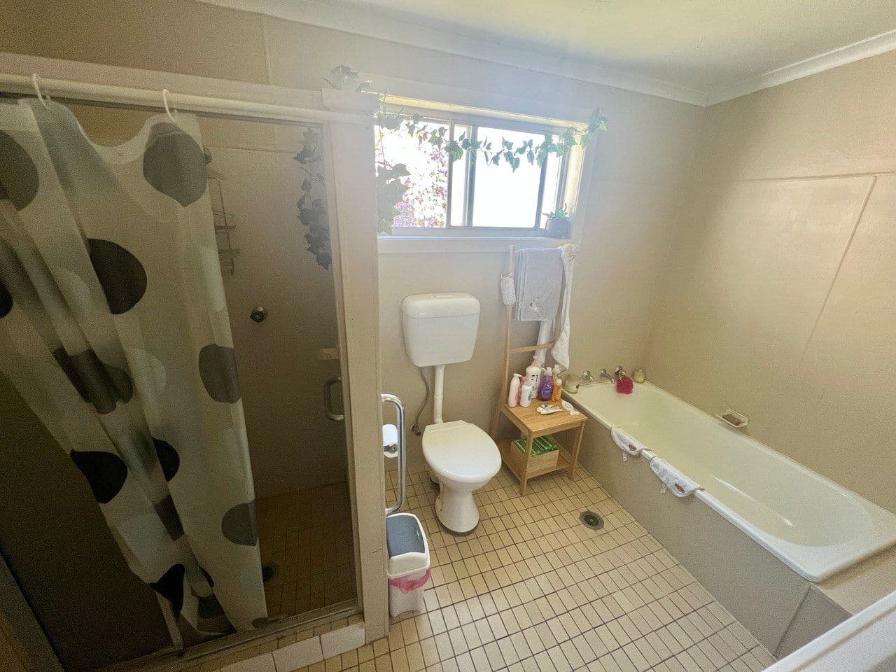 16 Maitland Street, West Wyalong NSW 2671, West Wyalong - Thumbnail 4