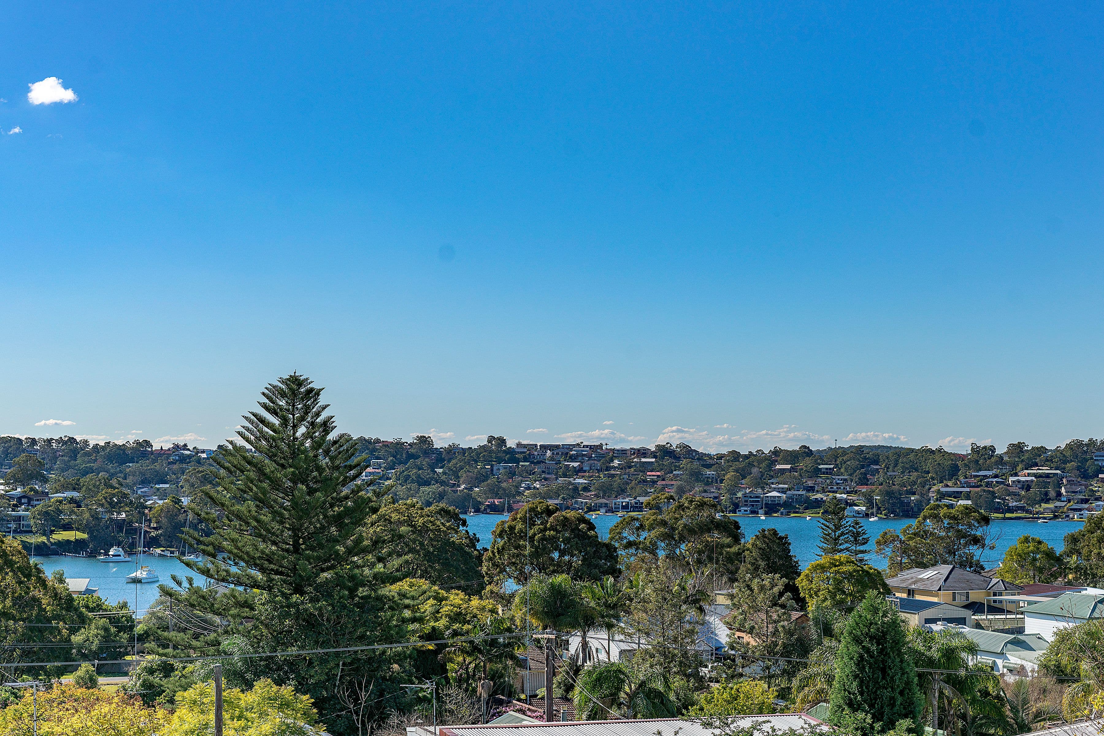 43 Arcadia Street, Arcadia Vale - Thumbnail 2
