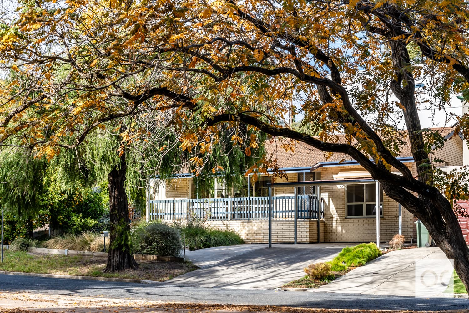 18 Elese Avenue, Campbelltown - Thumbnail 4