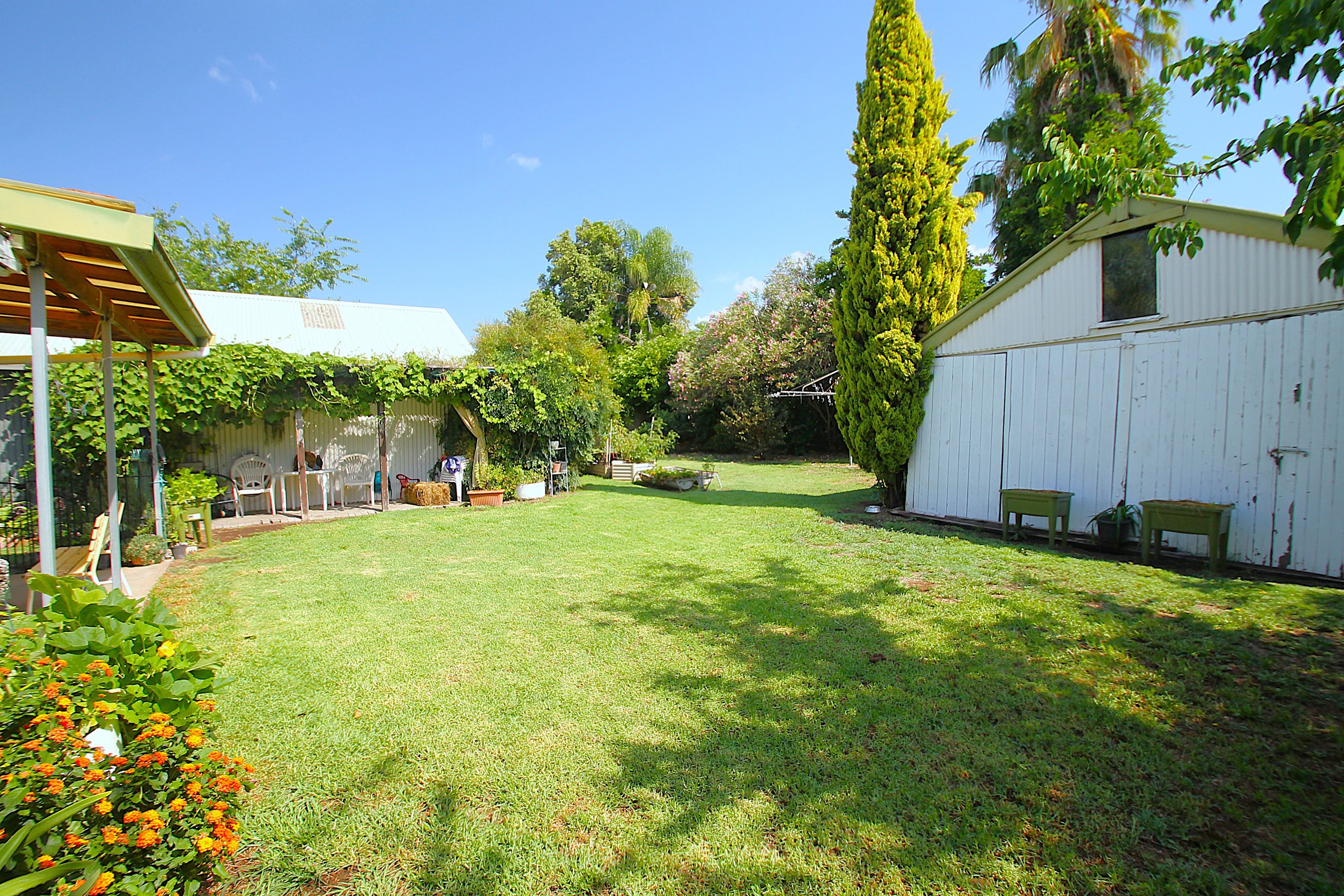 43 William Street, Quirindi NSW 2343, Quirindi - Thumbnail 3