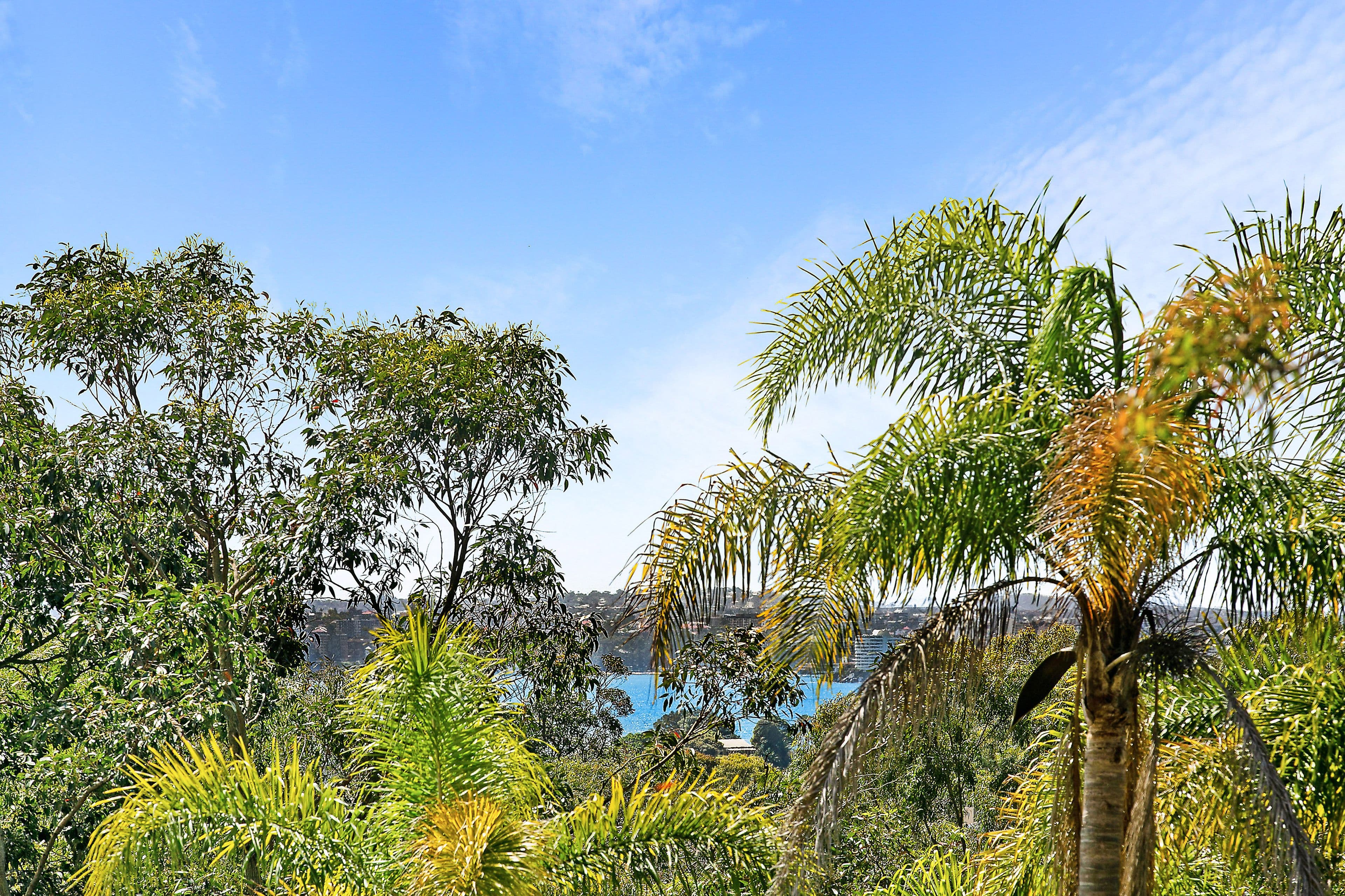 30 Olola Avenue, Vaucluse NSW 2030, Vaucluse - Thumbnail 8