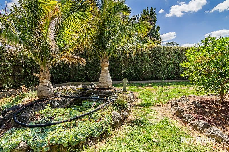 3 Filbert Court, Cranbourne North VIC 3977, Cranbourne North - Thumbnail 6