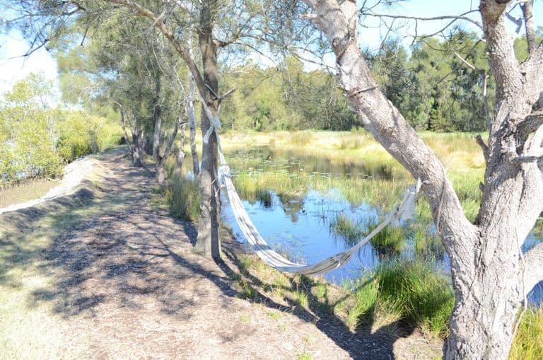 251 Micalo Road, Micalo Island, YAMBA NSW 2464, Yamba - Thumbnail 4