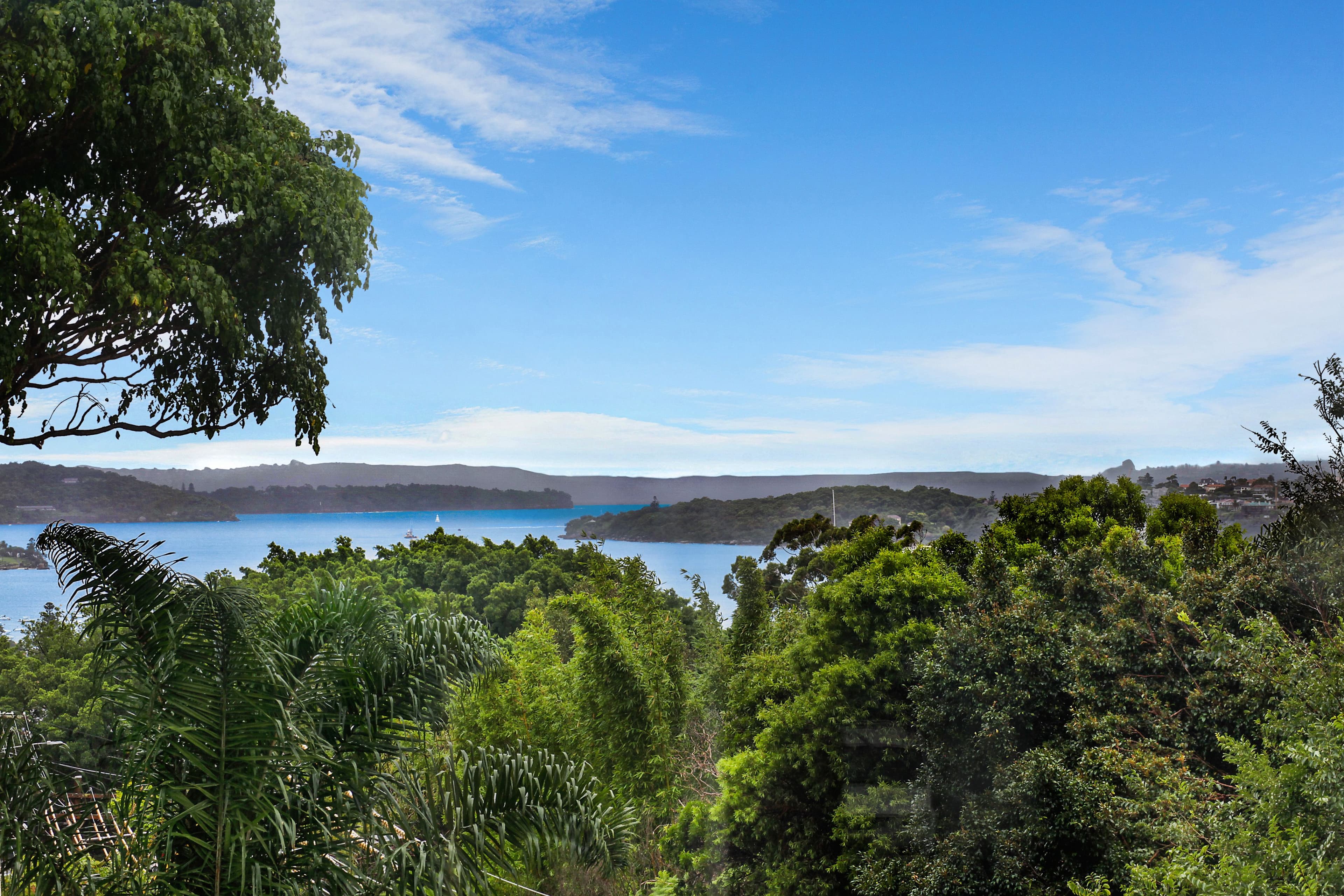 97 Drumalbyn Road, Bellevue Hill NSW 2023, Bellevue Hill - Thumbnail 4