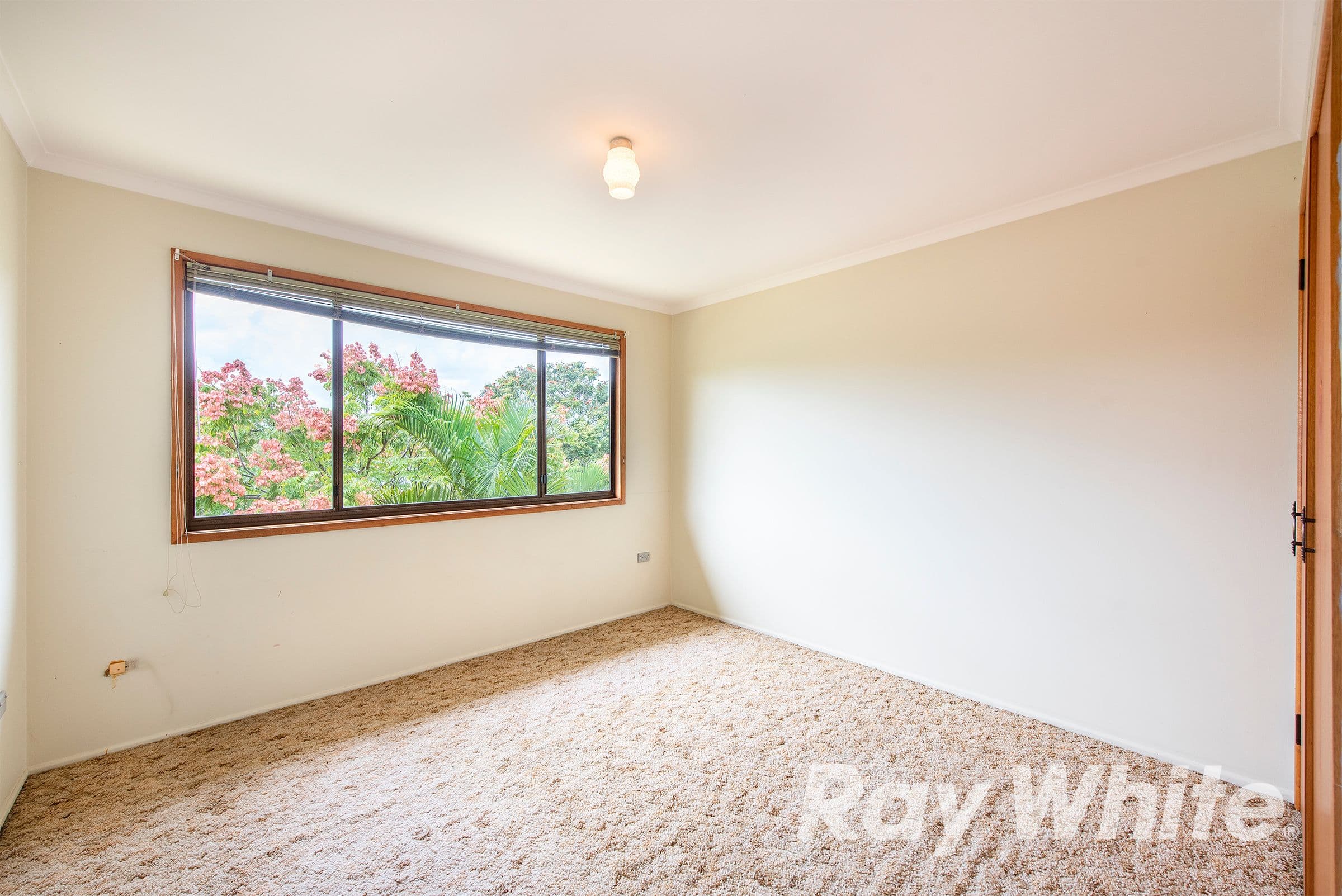 16 Forest Street, Woodridge QLD 4114, Woodridge - Thumbnail 7