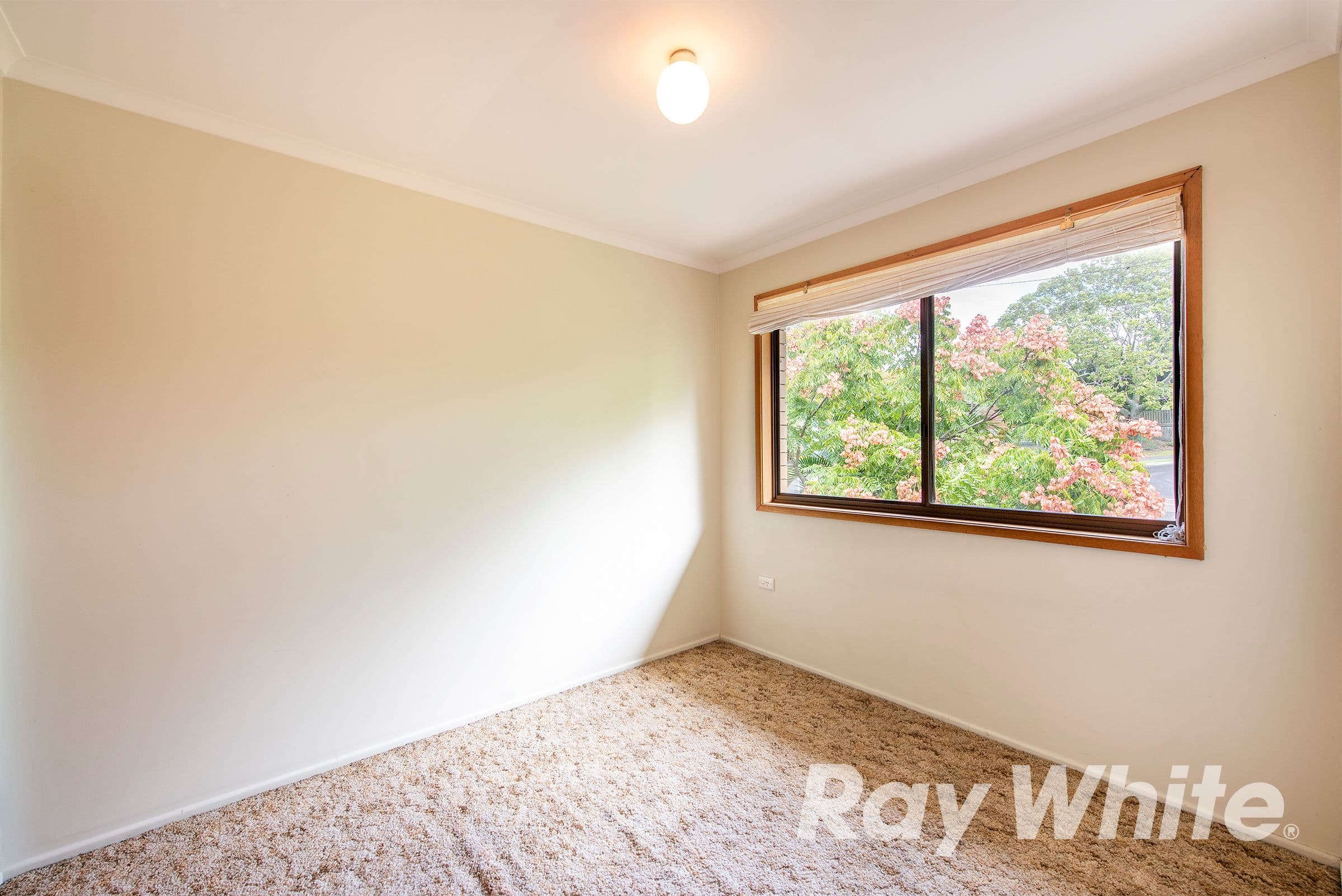 16 Forest Street, Woodridge QLD 4114, Woodridge - Thumbnail 8