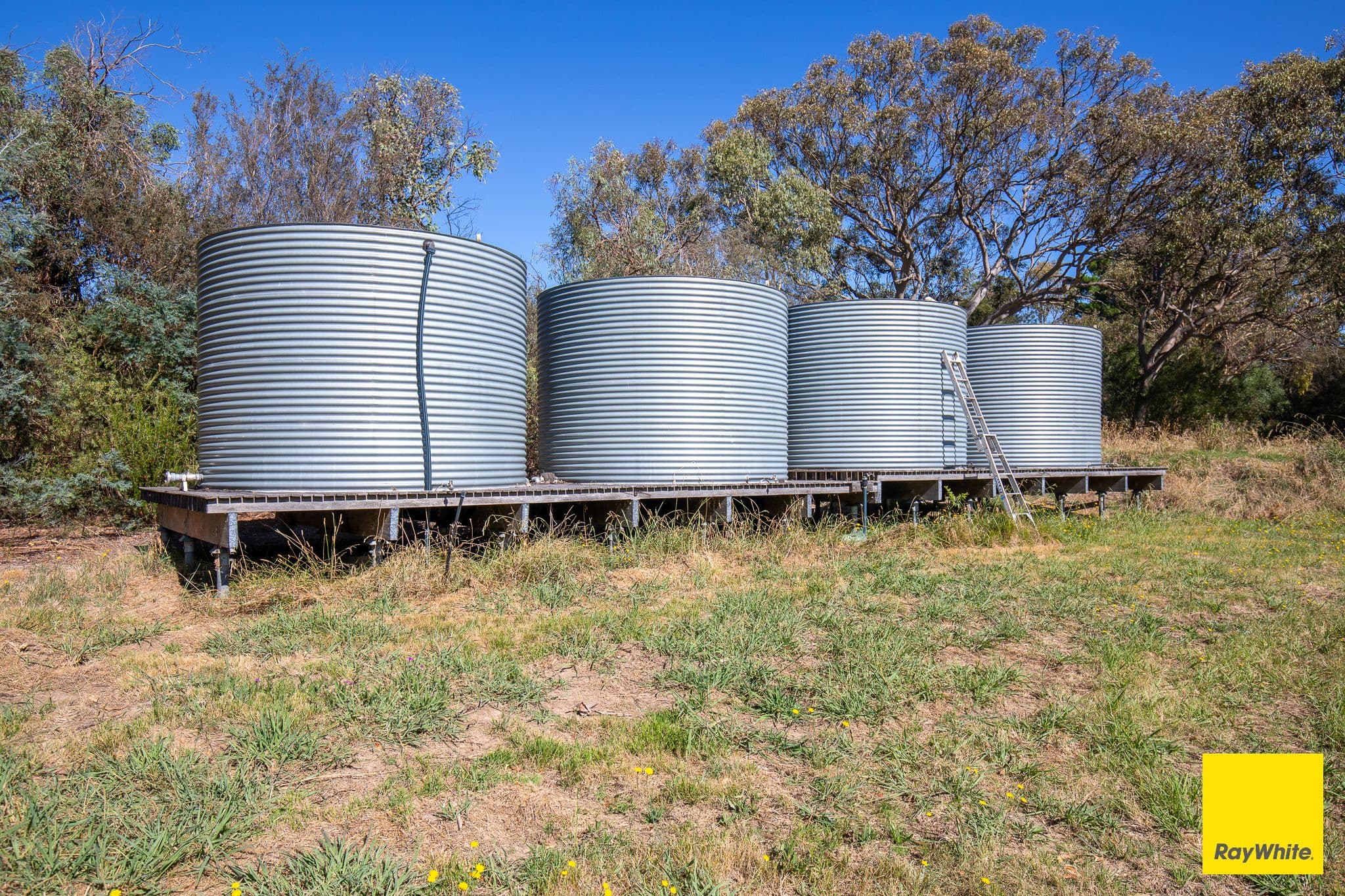 216 Taylor Street, Armidale NSW 2350, Armidale - Thumbnail 5