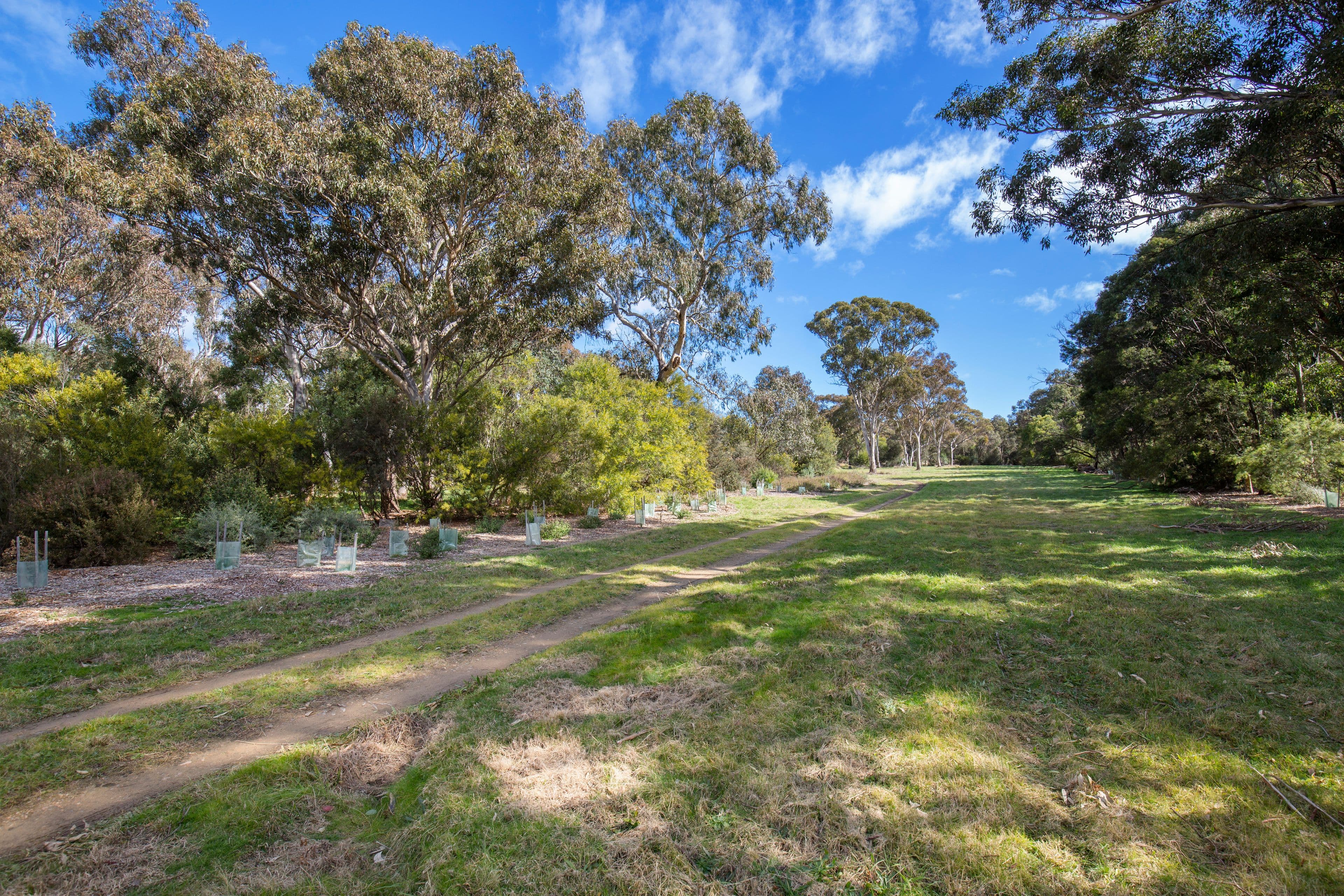 216 Taylor Street, Armidale NSW 2350, Armidale - Thumbnail 6