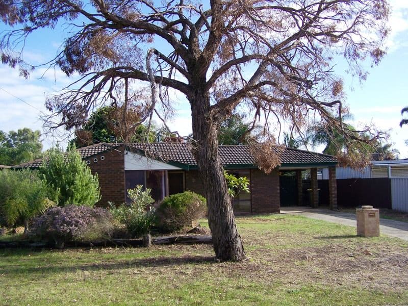 3 Dene Court, GOSNELLS WA 6110, Gosnells - Thumbnail 2