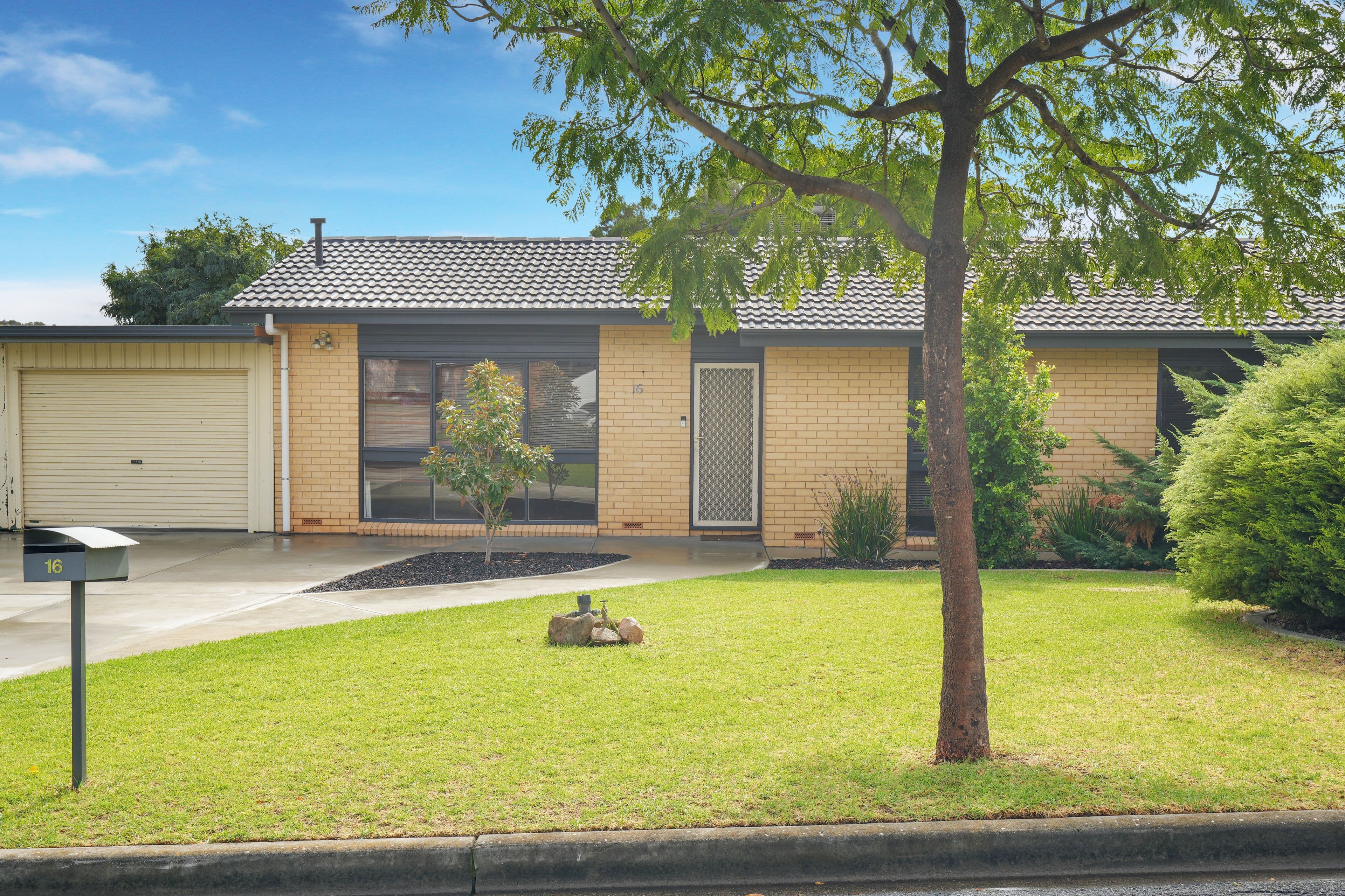 16 Reisling Road, Wynn Vale SA 5127, Wynn Vale - Thumbnail 4