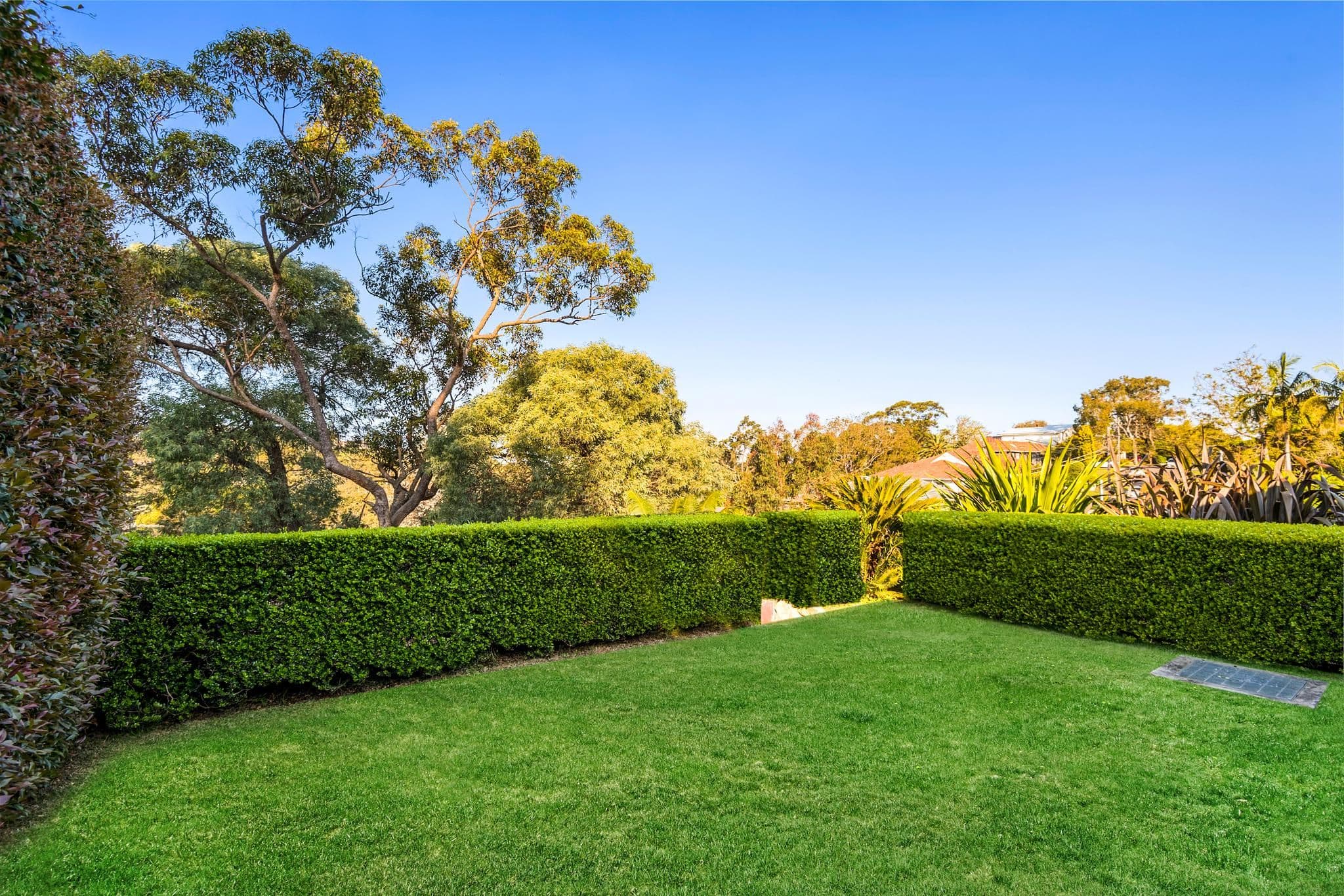24 Covelee Circuit, Middle Cove NSW 2068, Middle Cove - Thumbnail 7