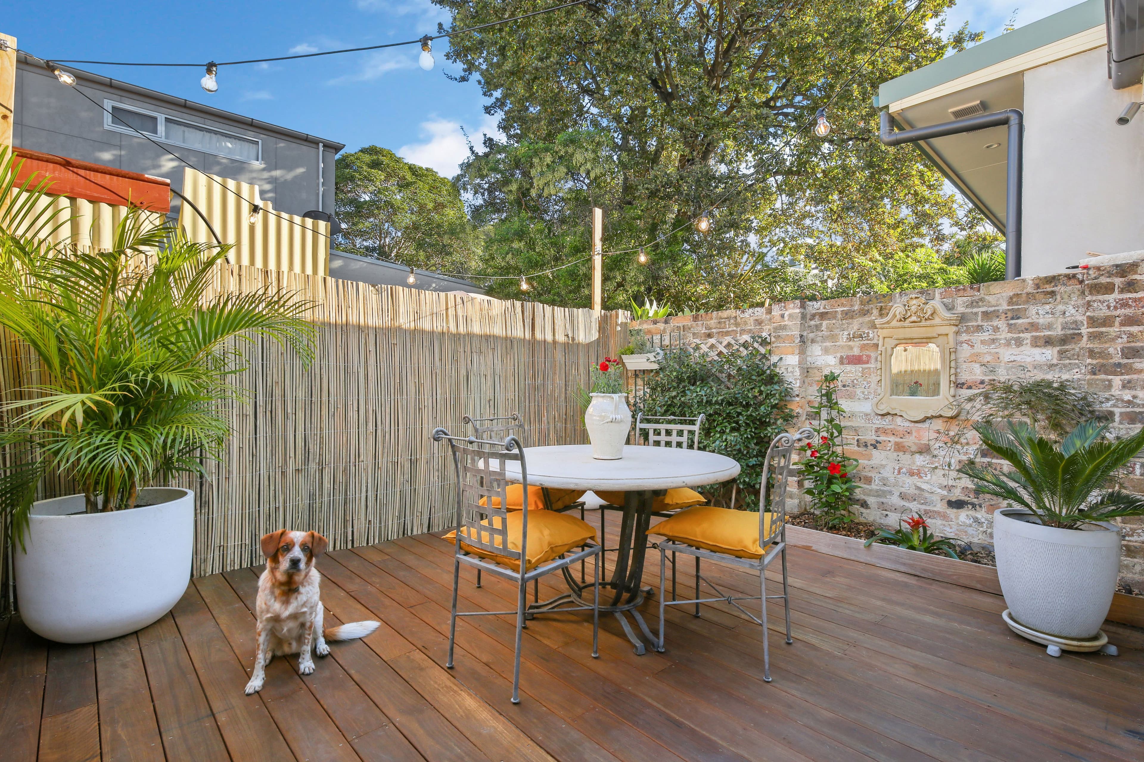 25 Macdonald Street, Erskineville - Thumbnail 3