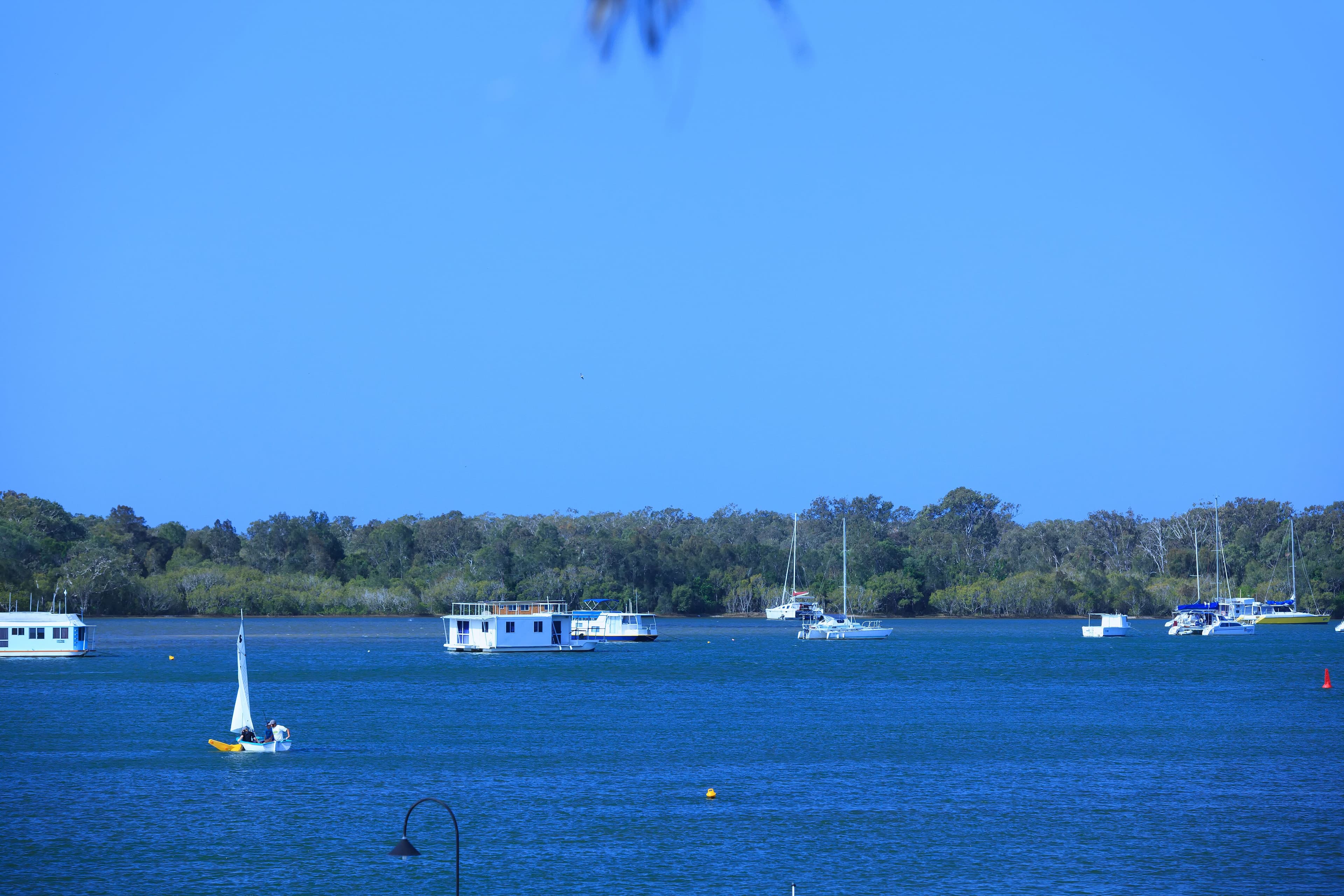 76 Hilton Terrace, Noosaville QLD 4566, Noosaville - Thumbnail 8