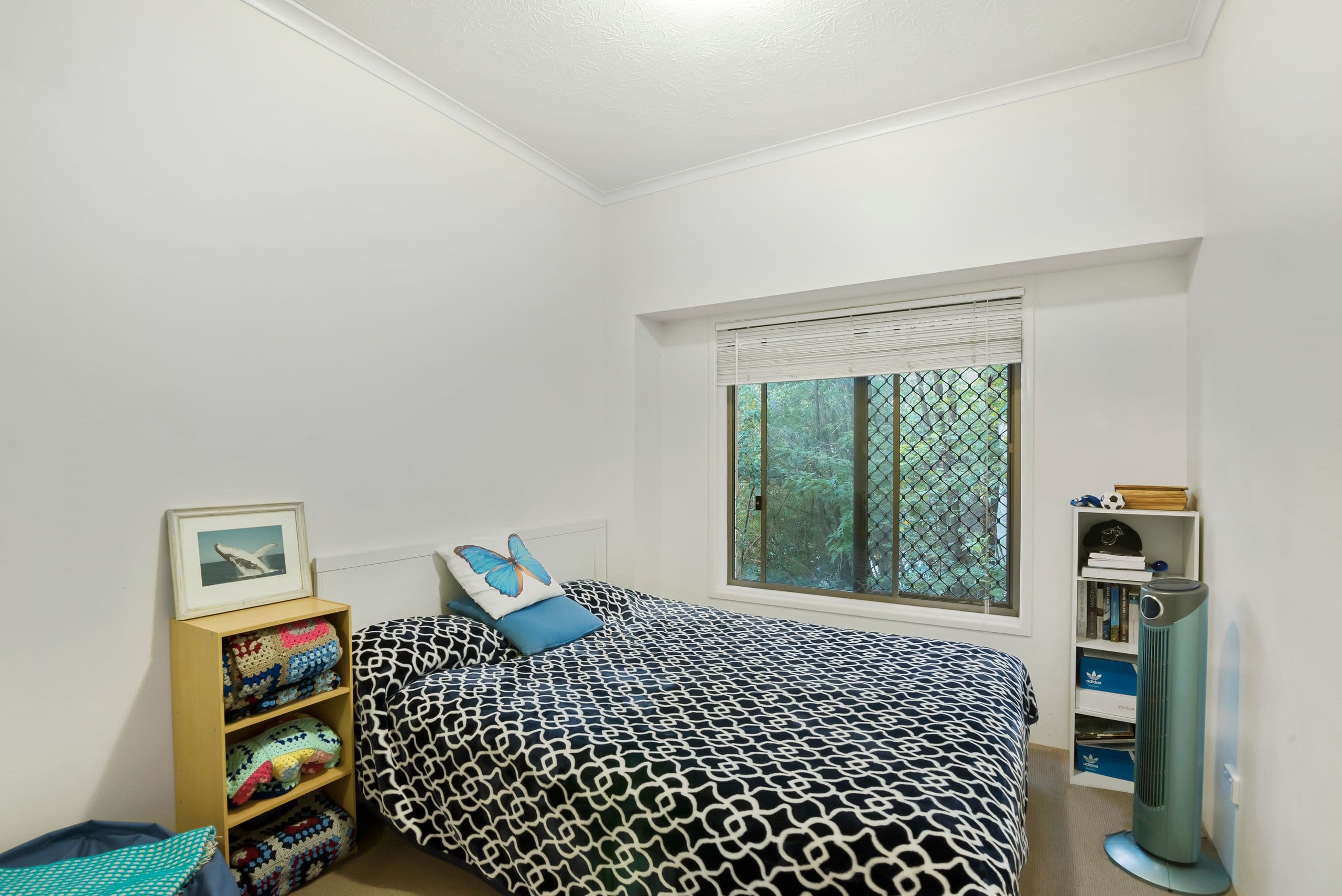 9 Dandaloo Drive, Currumbin QLD 4223, Currumbin - Thumbnail 8