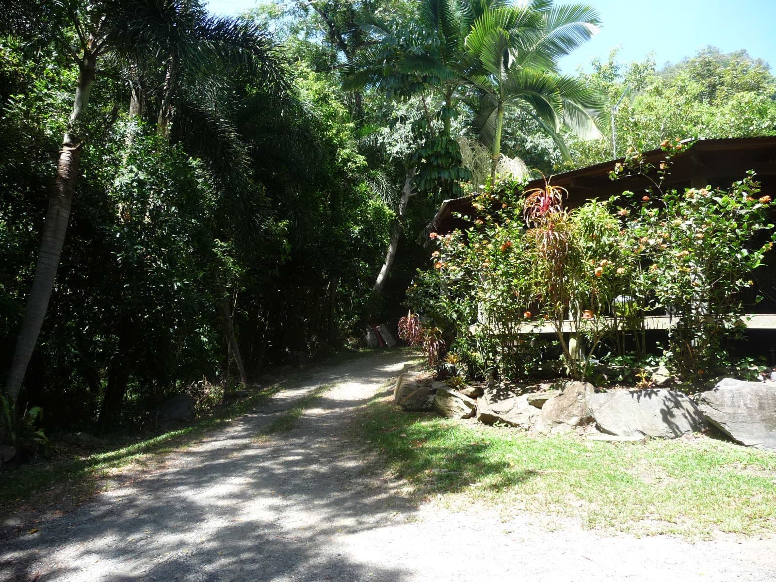 316 Mowbray River Road, Mowbray QLD 4877, Mowbray - Thumbnail 3