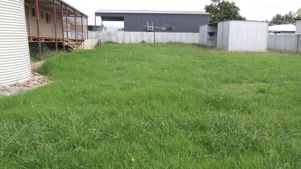 54 Henry Street, BARRABA NSW 2347, Barraba - Thumbnail 4
