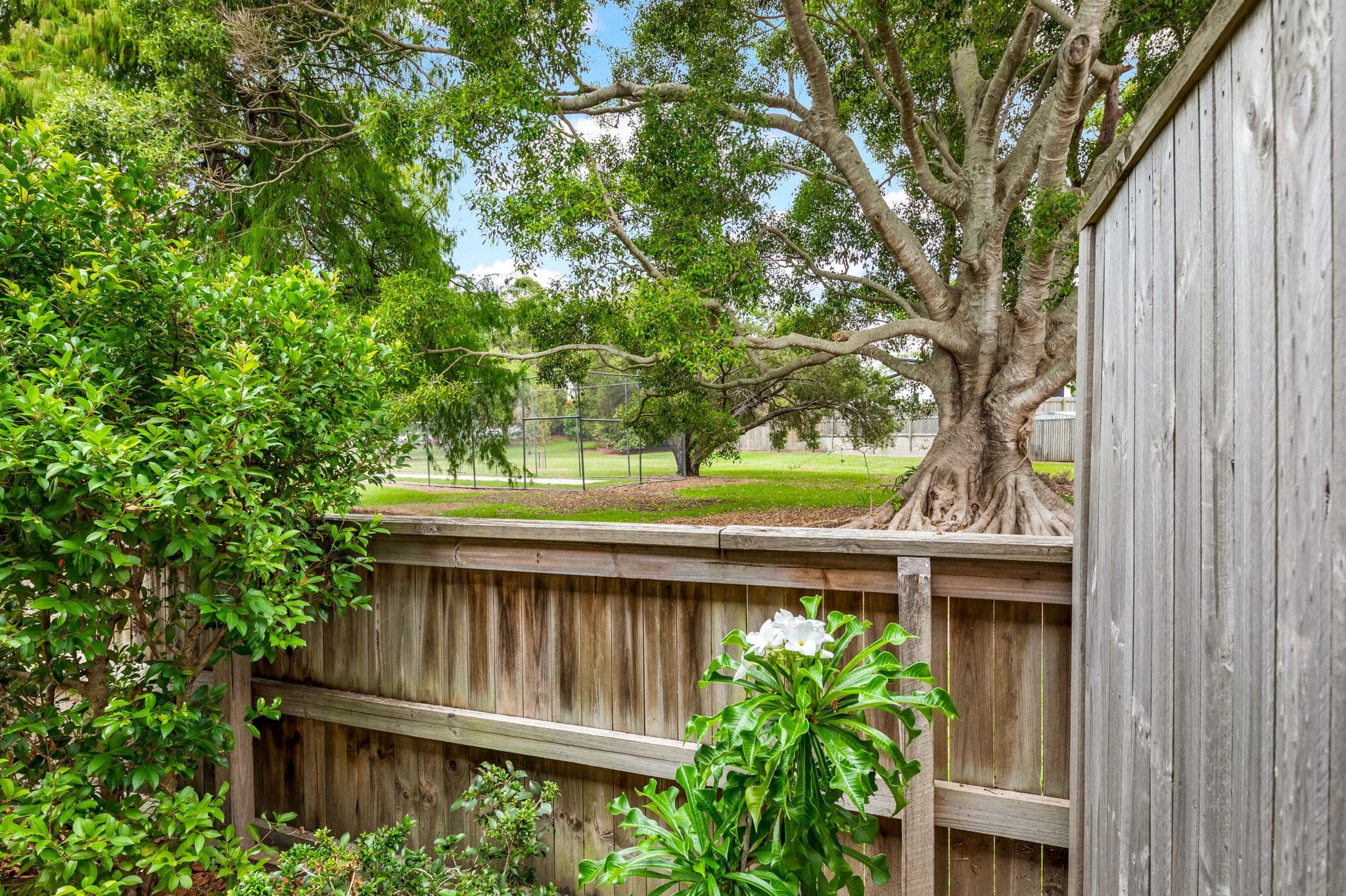 4 Sunshine Court, Maroochydore QLD 4558, Maroochydore - Thumbnail 7