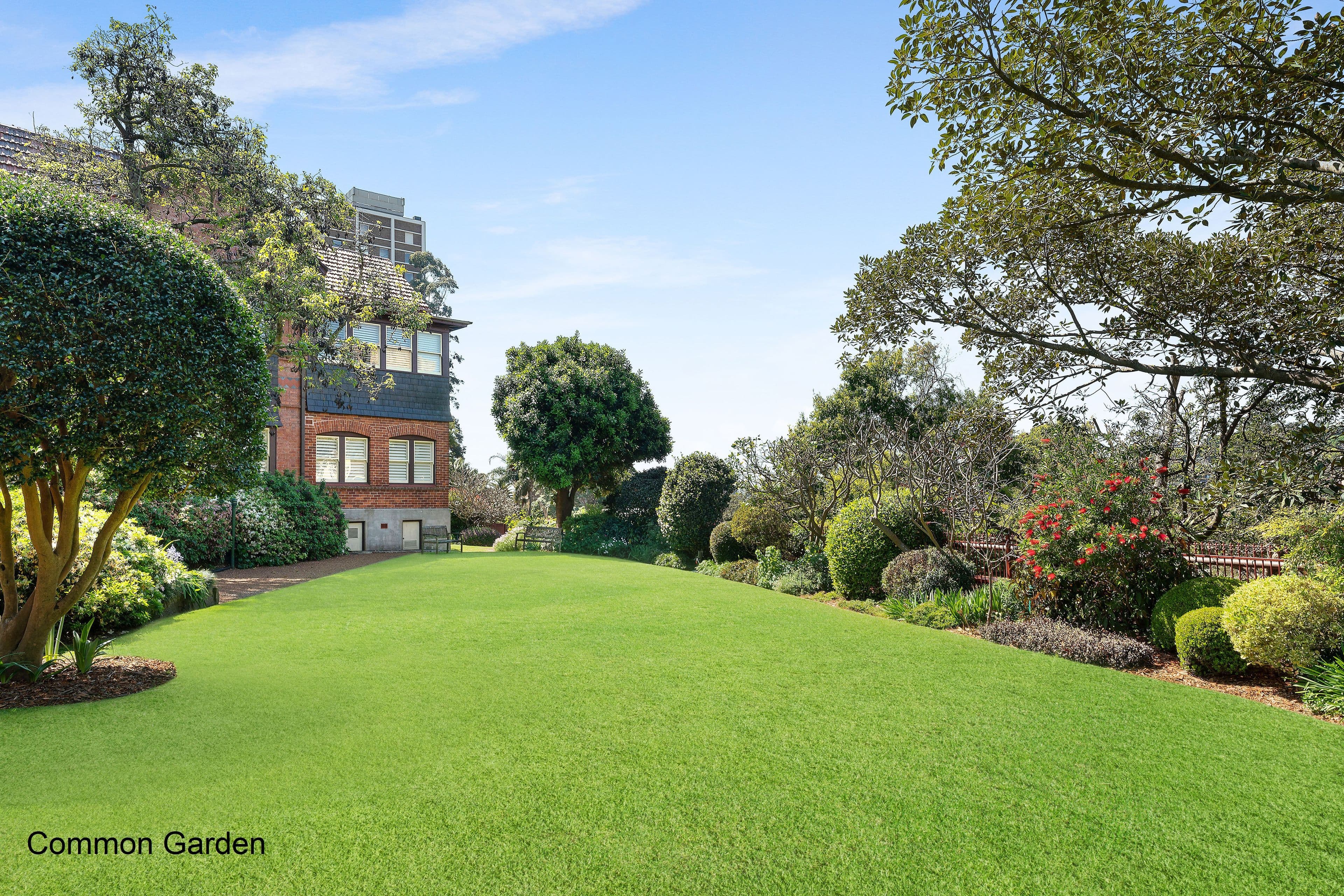 3 Marathon Road, Darling Point NSW 2027, Darling Point - Thumbnail 4