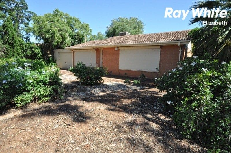 4 Burford Street, Elizabeth Downs SA 5113, Elizabeth Downs - Thumbnail 3
