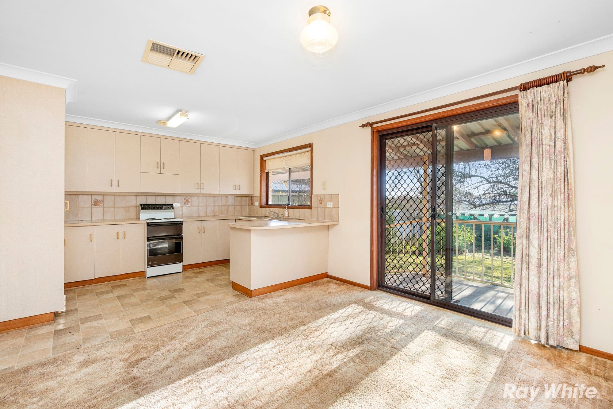 16 Olive Road, Stepney SA 5069, Stepney - Thumbnail 4